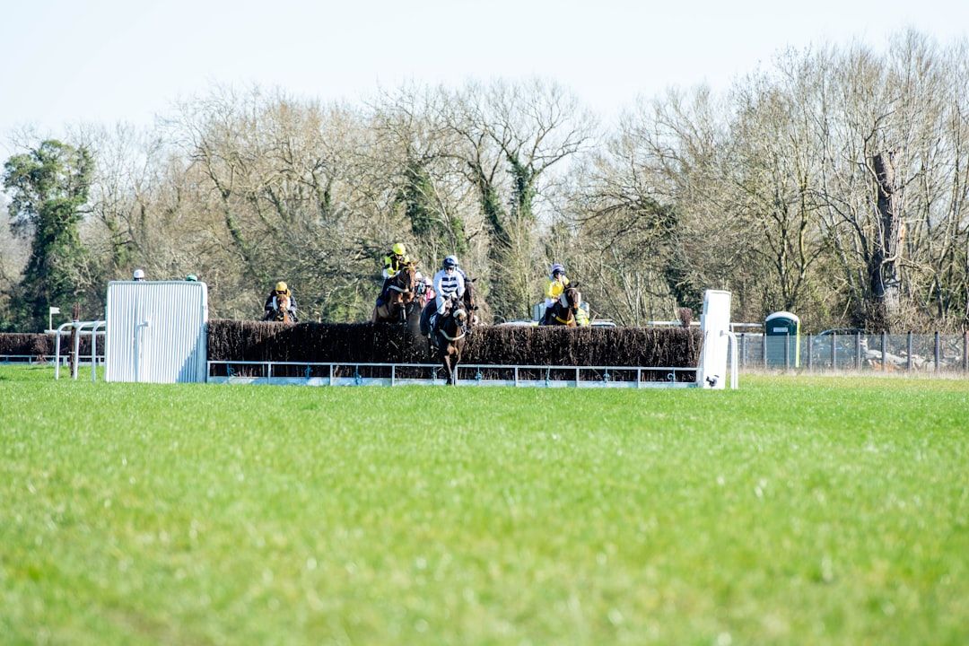 Group of horses and jockeys racing during a jump meeting at Ascot