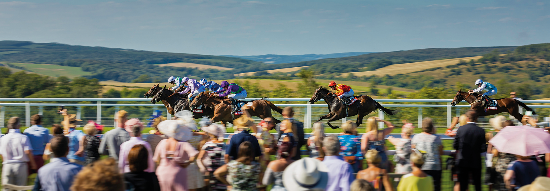 Horses thundering down the Goodwood straight with the Sussex Downs behind