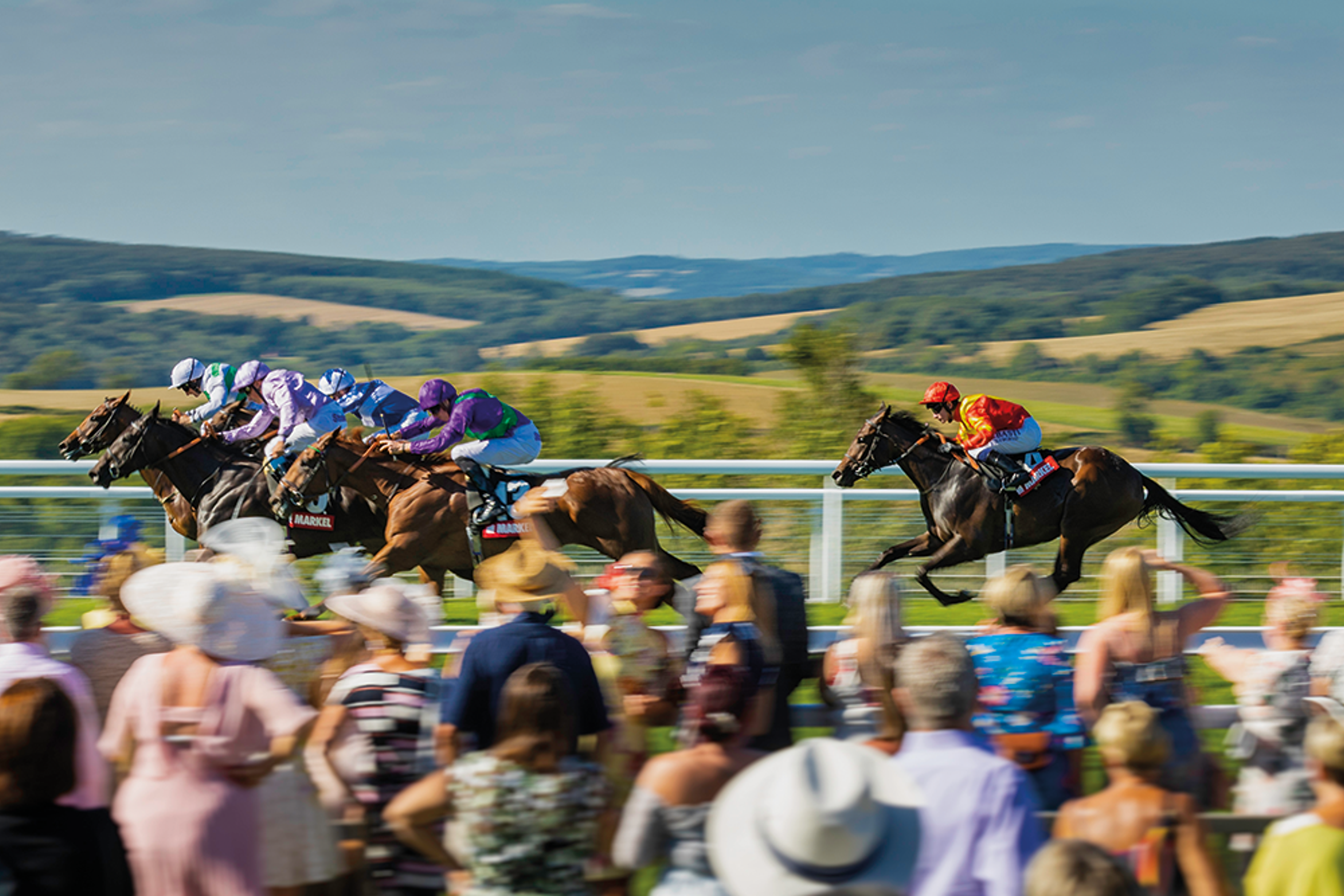 Horses thundering down the Goodwood straight with the Sussex Downs behind