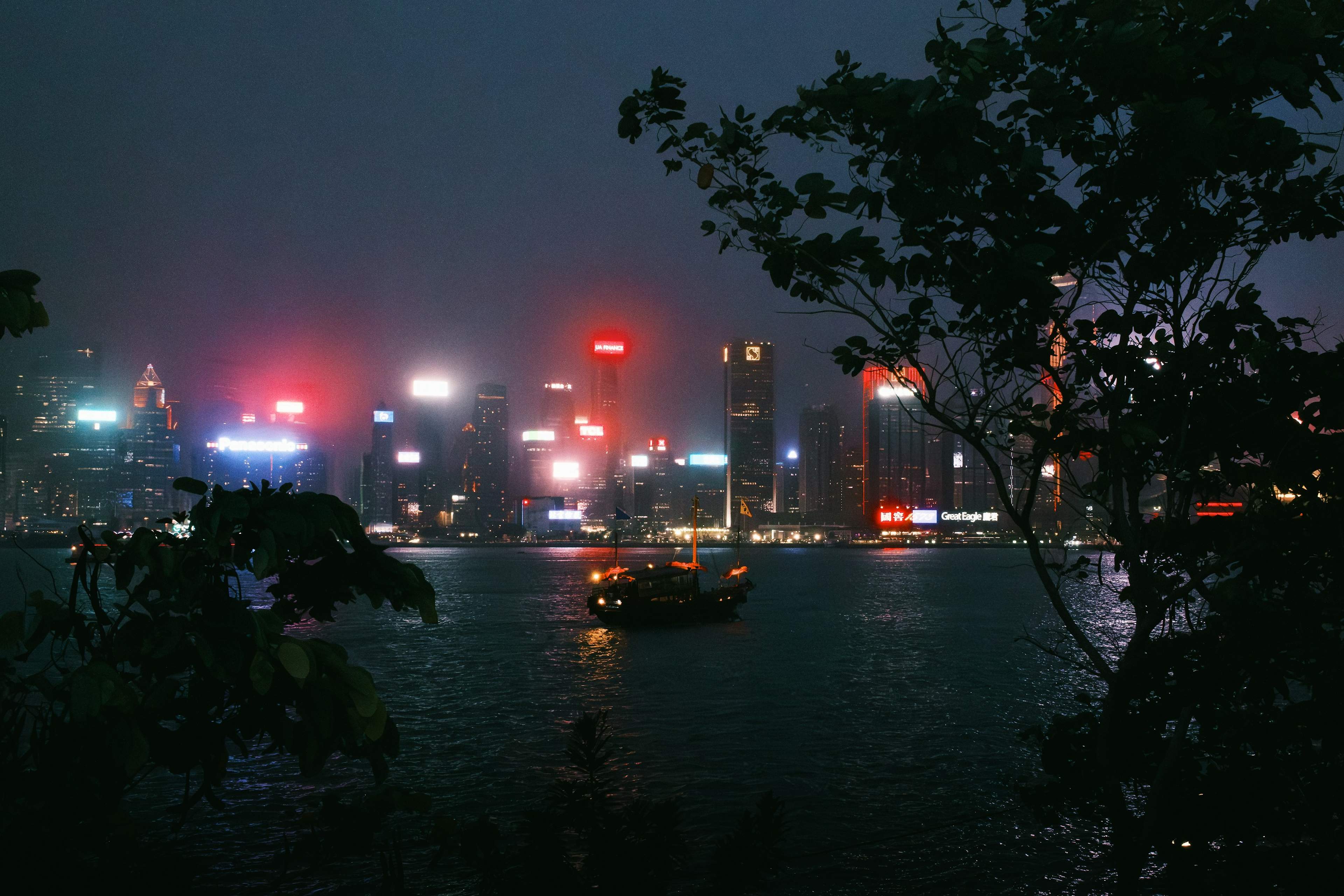 Victoria Harbour and the Hong Kong skyline seen through trees on a rainy evening