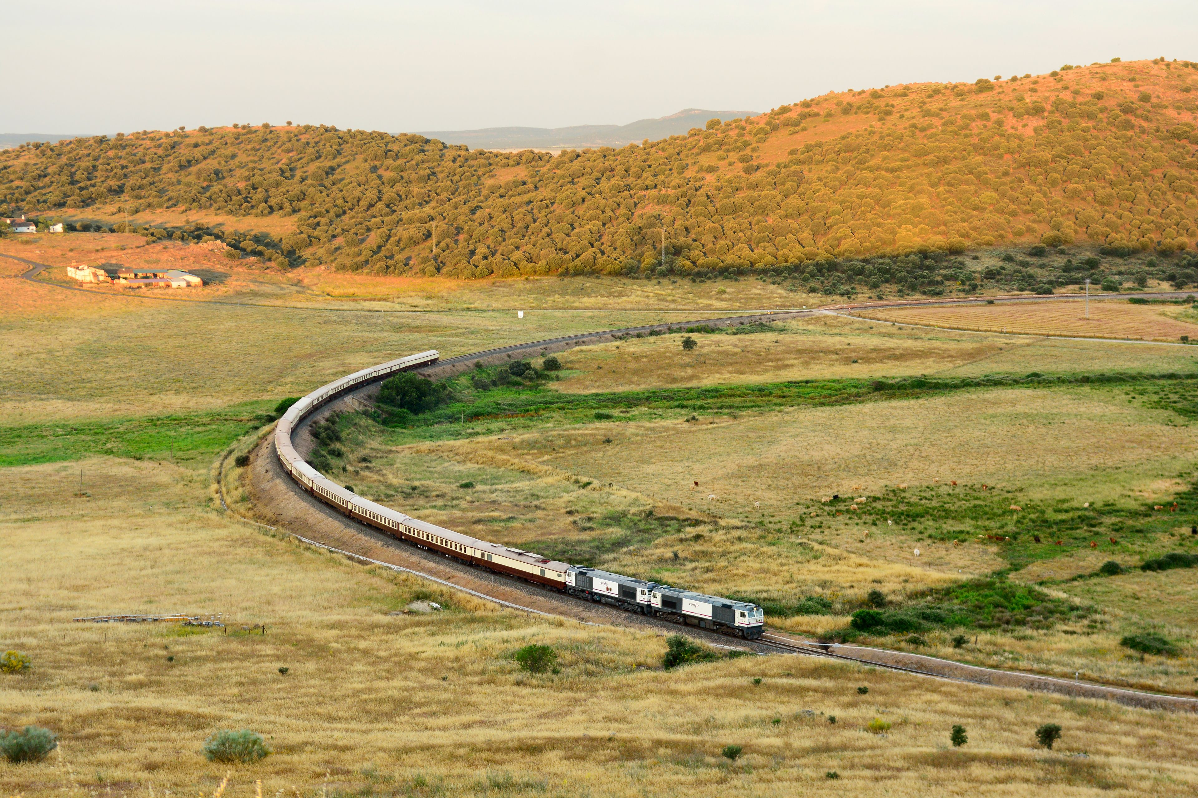 The cream carriages of Spain's Al Andalus train curving through the hills of Andalusia at dusk