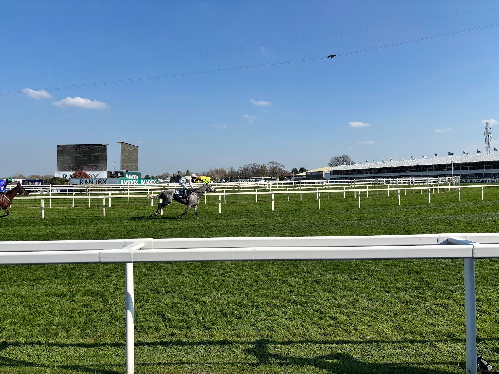 Aintree paddock and parade ring on Grand National day