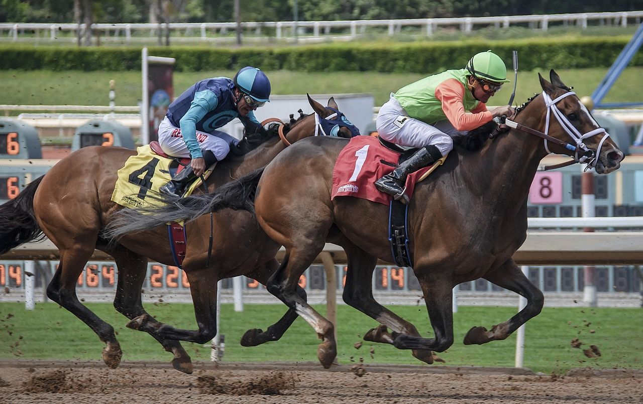 Horses running at speed across a green turf course