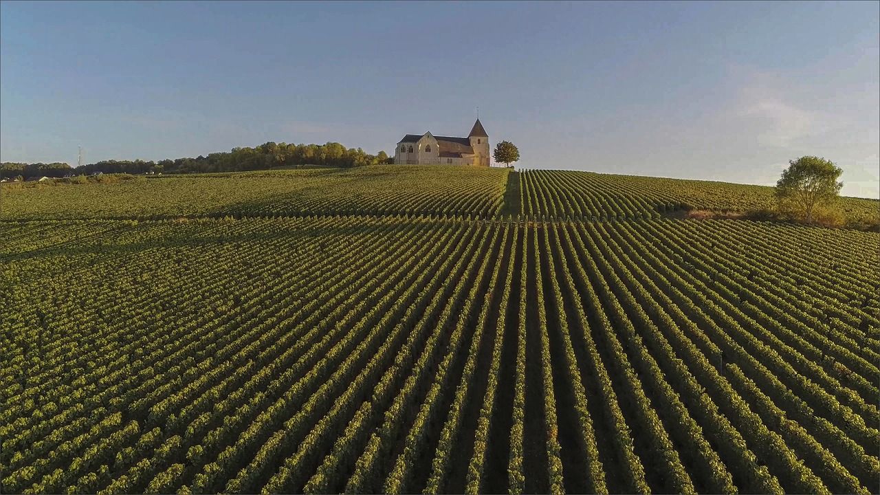 The history of Champagne Day Trip by Private Charter