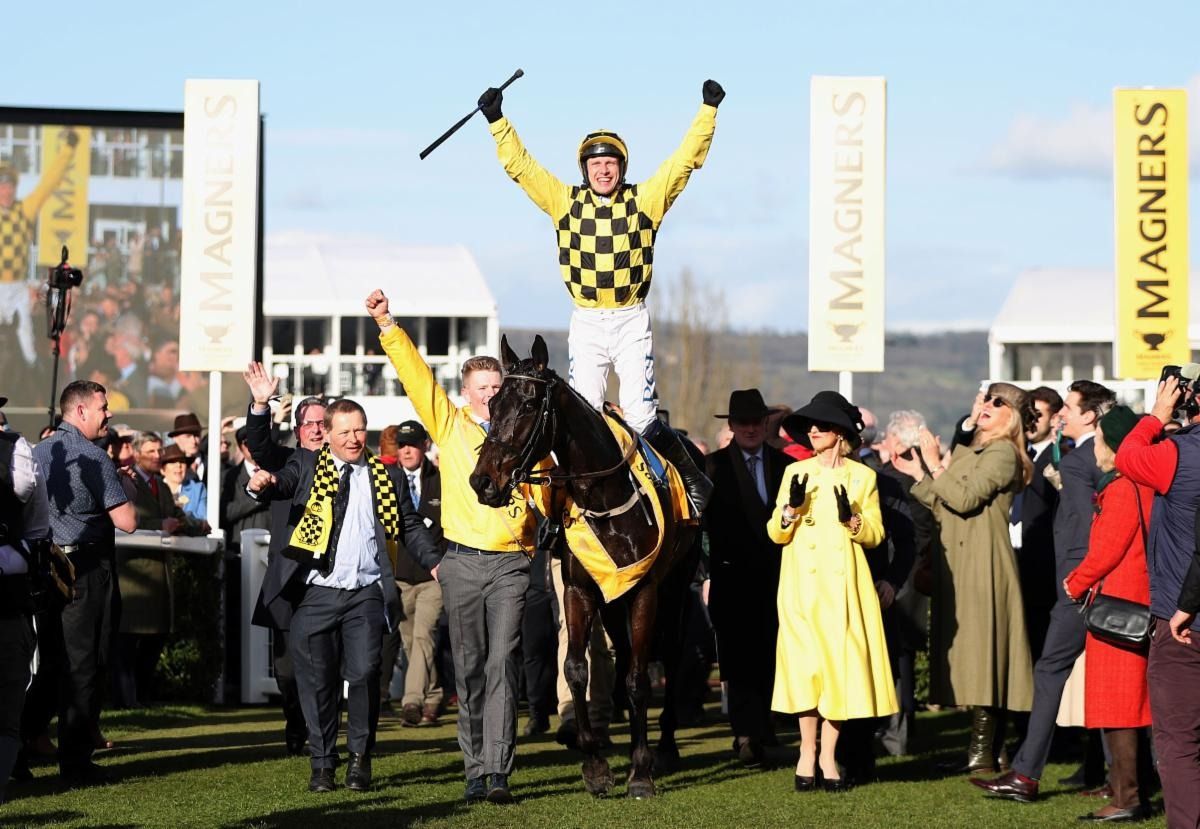 Celebrating victory after a race at Cheltenham