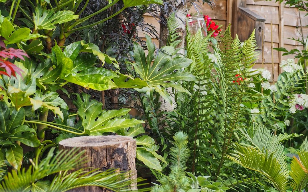 A wild garden with lush green plants near a cottage, evoking post-war English gardening