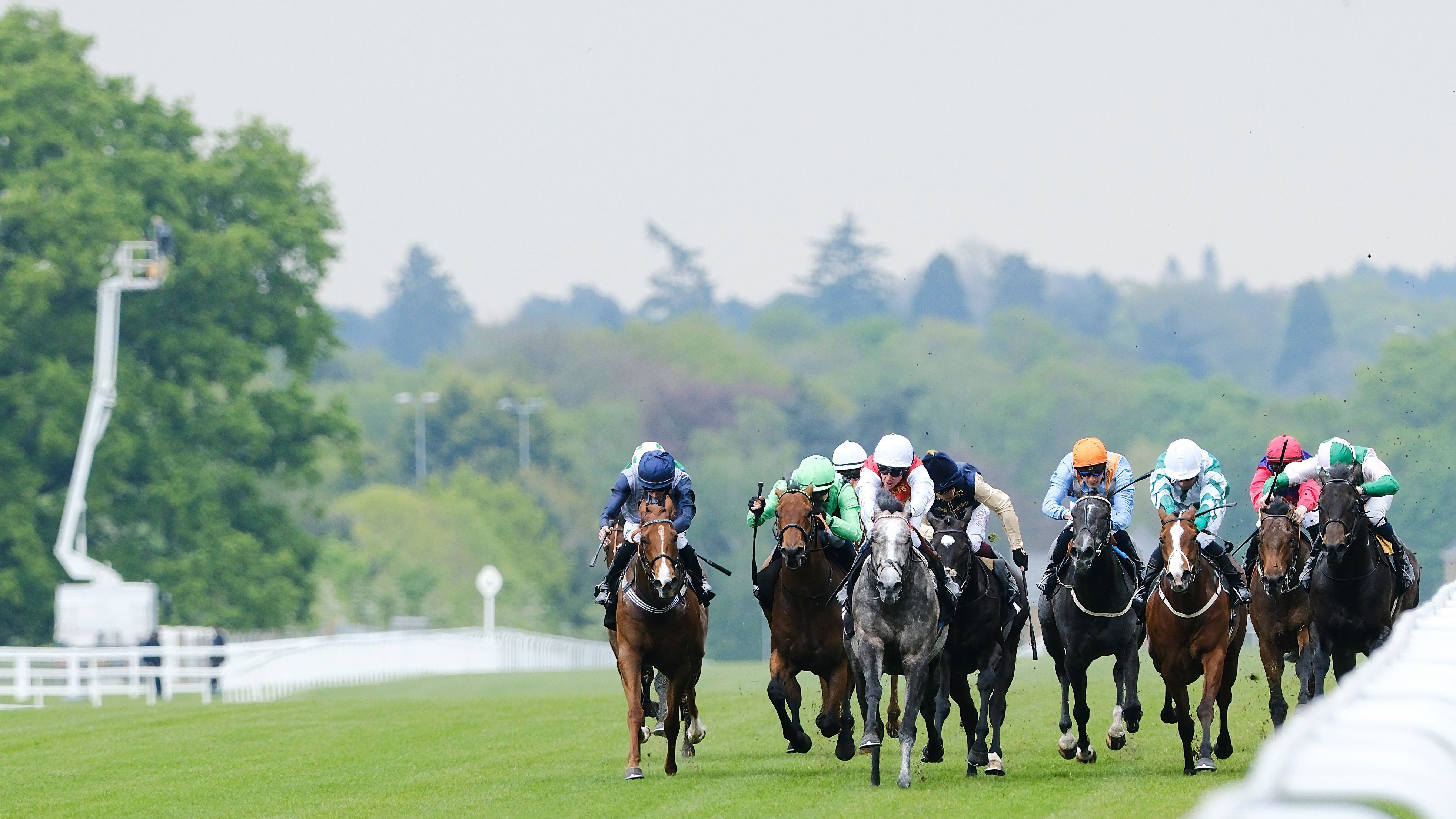 Close finish in a horse race with jockeys driving hard