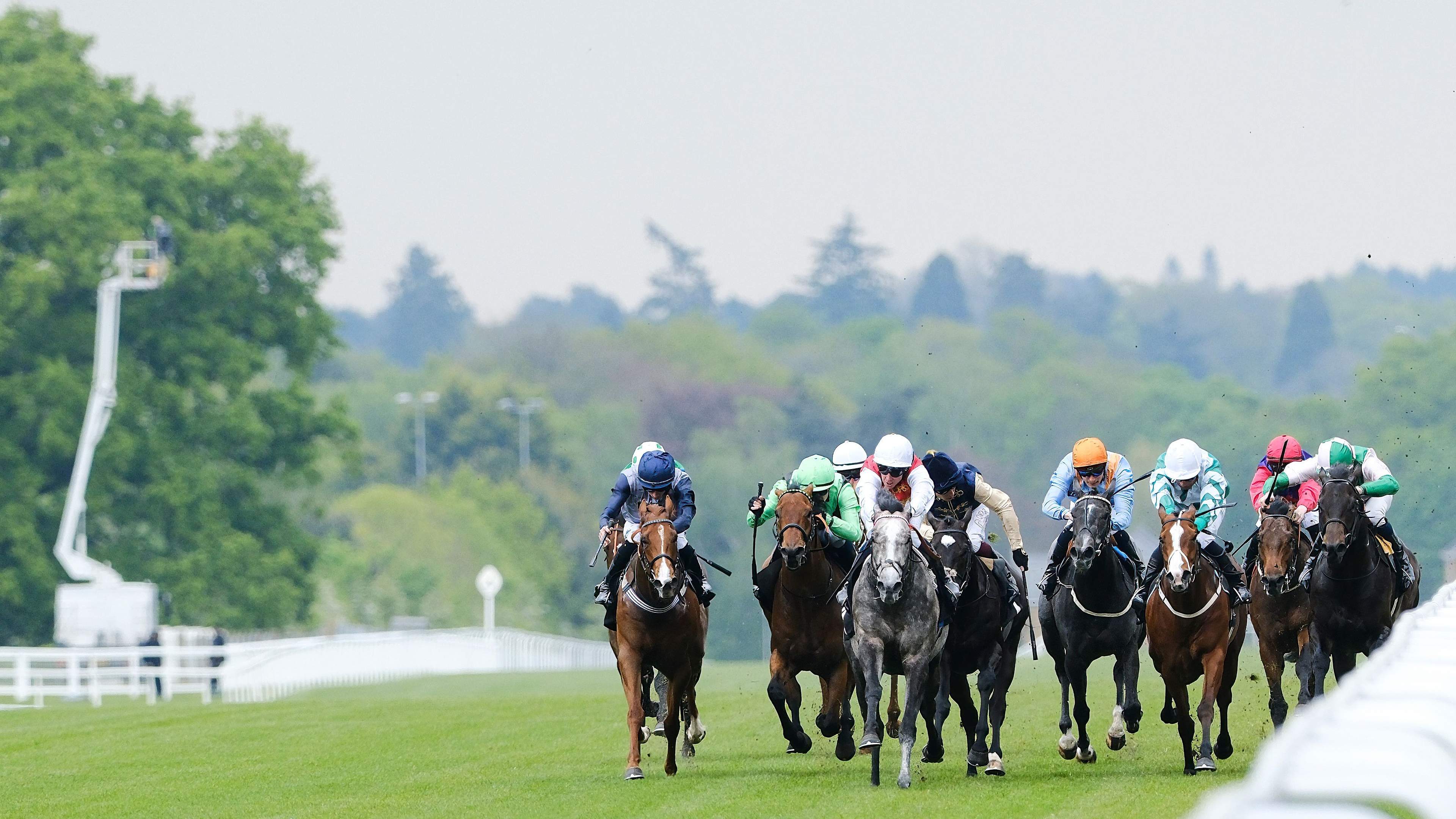 Close finish in a horse race with jockeys driving hard