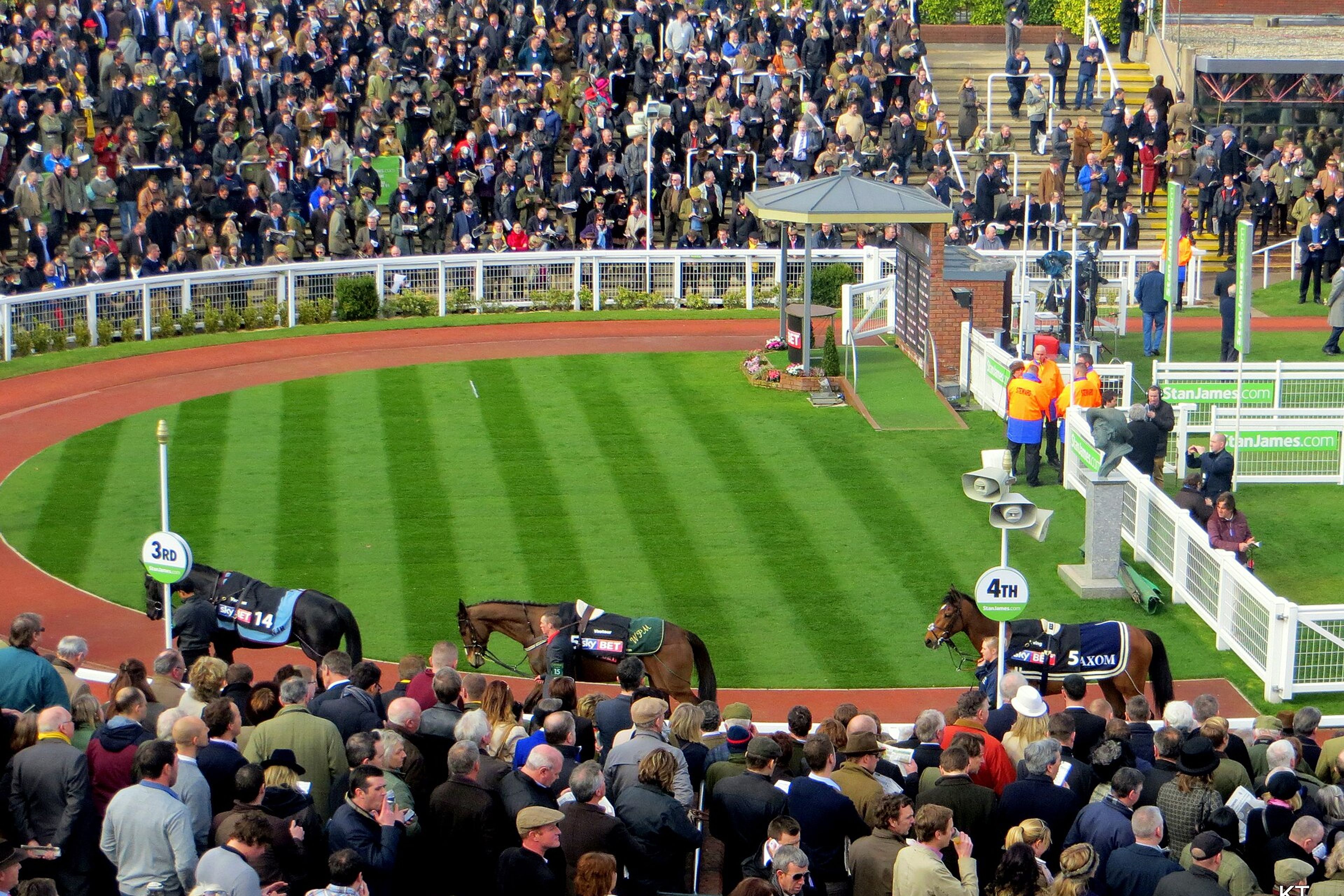 The Cheltenham Roar at 1:30pm Tuesday