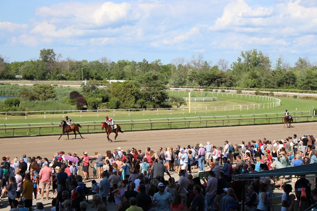 Spectators watching horse racing from the grandstand on a sunny day