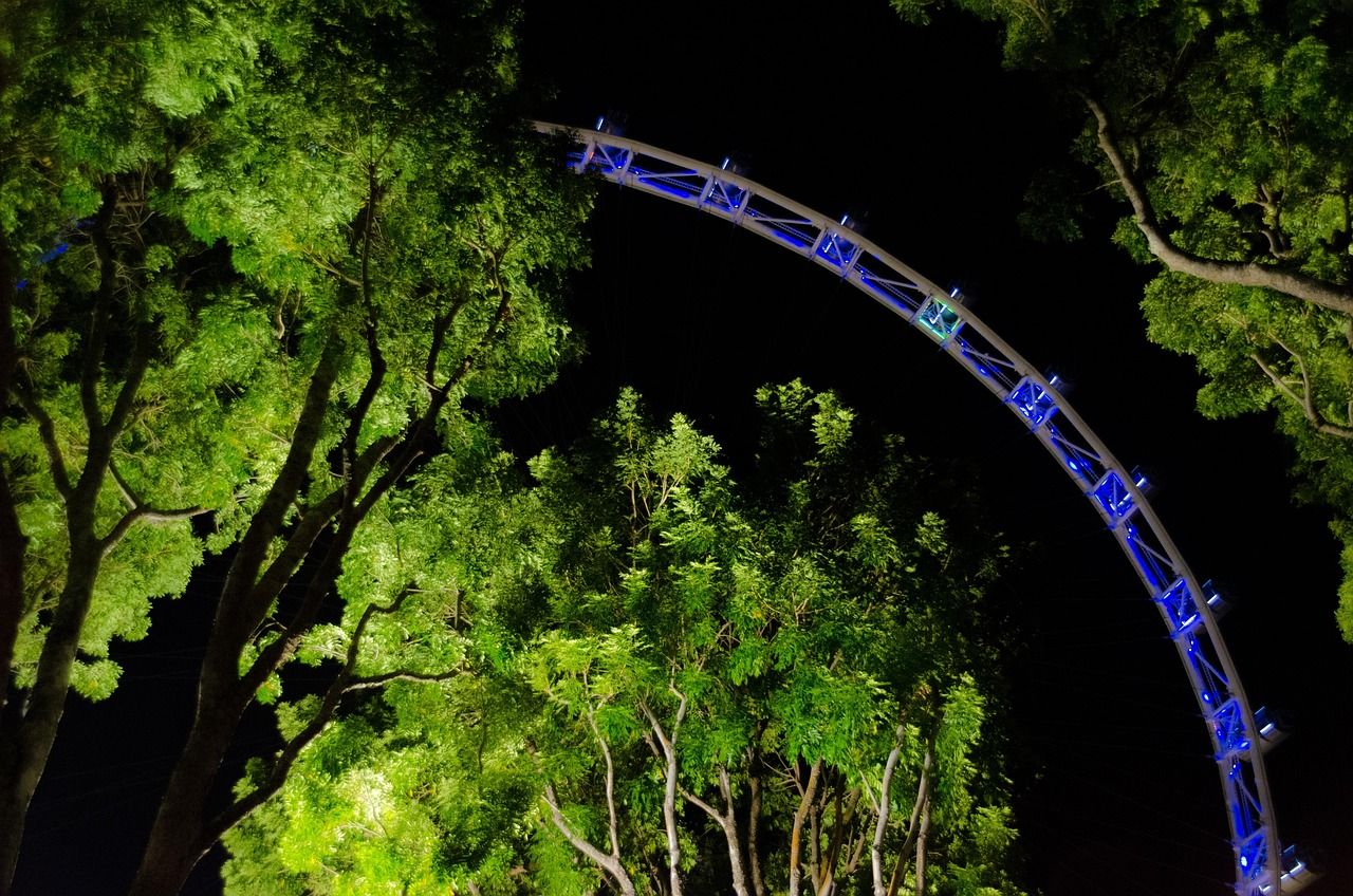 Singapore Flyer illuminated at night during the Formula 1 Grand Prix weekend