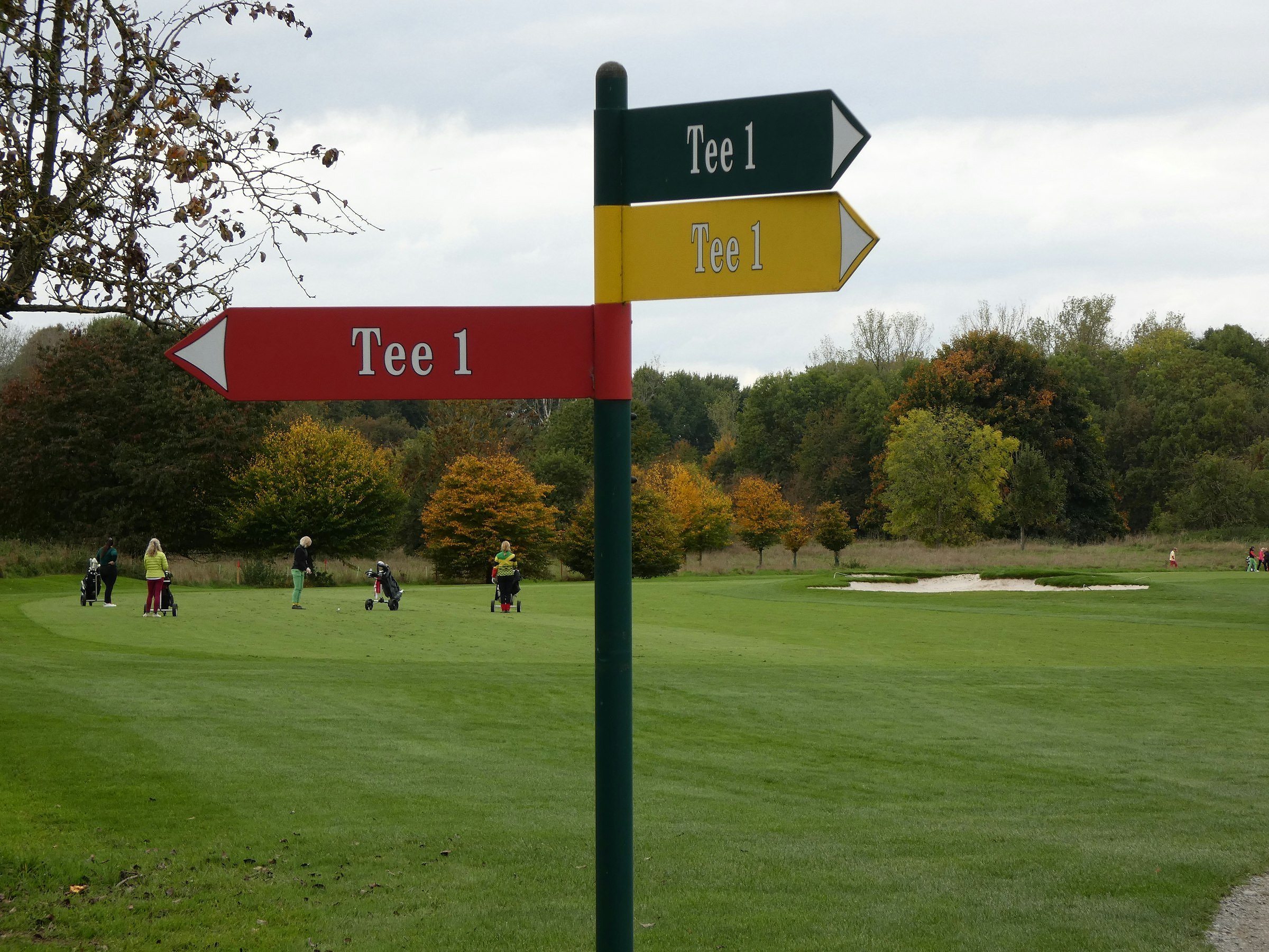 Ryder Cup-style golf scene (Golf course signpost pointing to tee 1)
