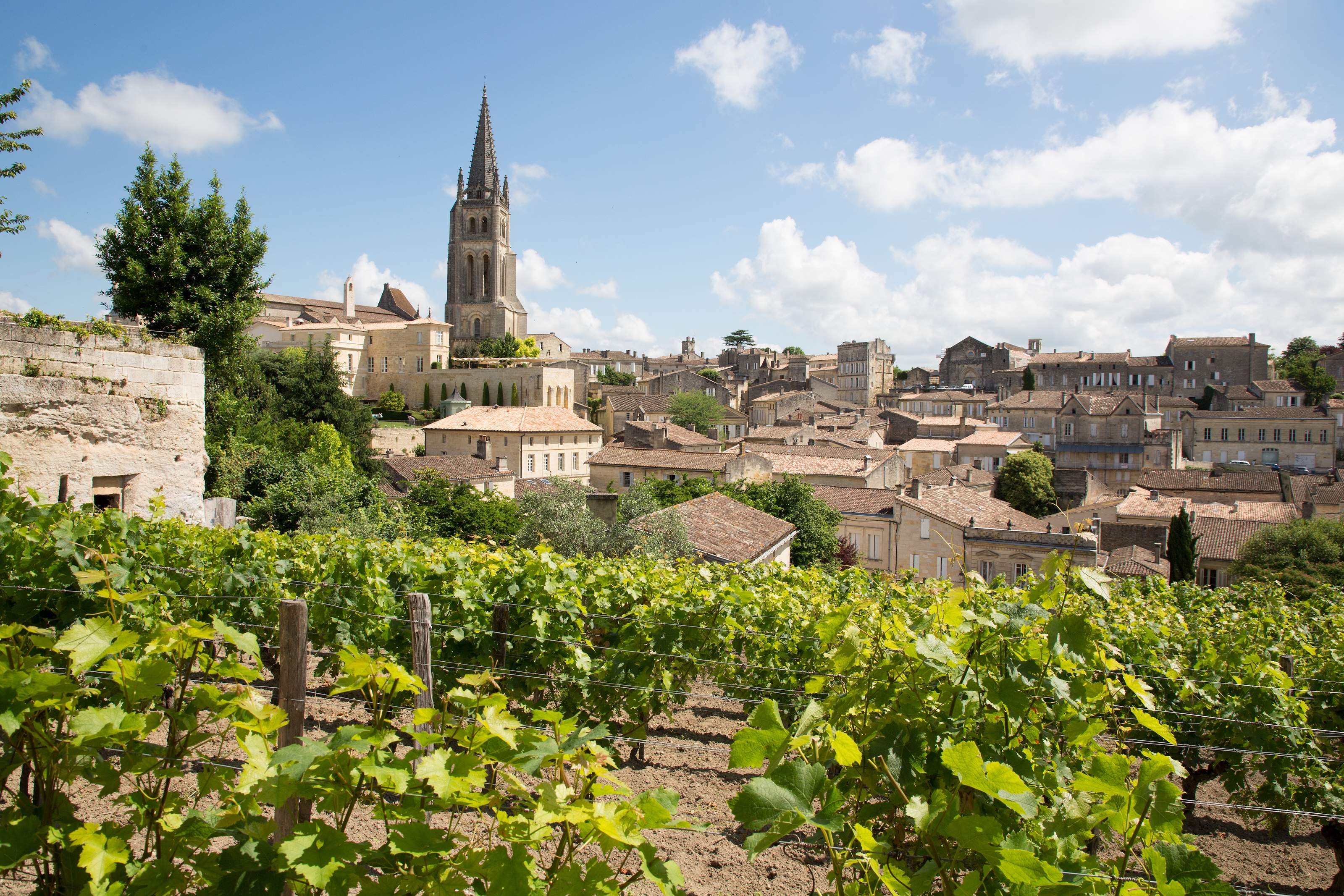 Taste Bordeaux Tour live at Le Pressoir d'Argent Gordon Ramsay