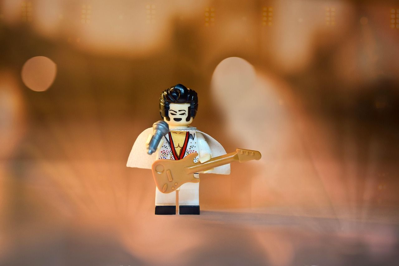 Elvis Presley performing live in concert