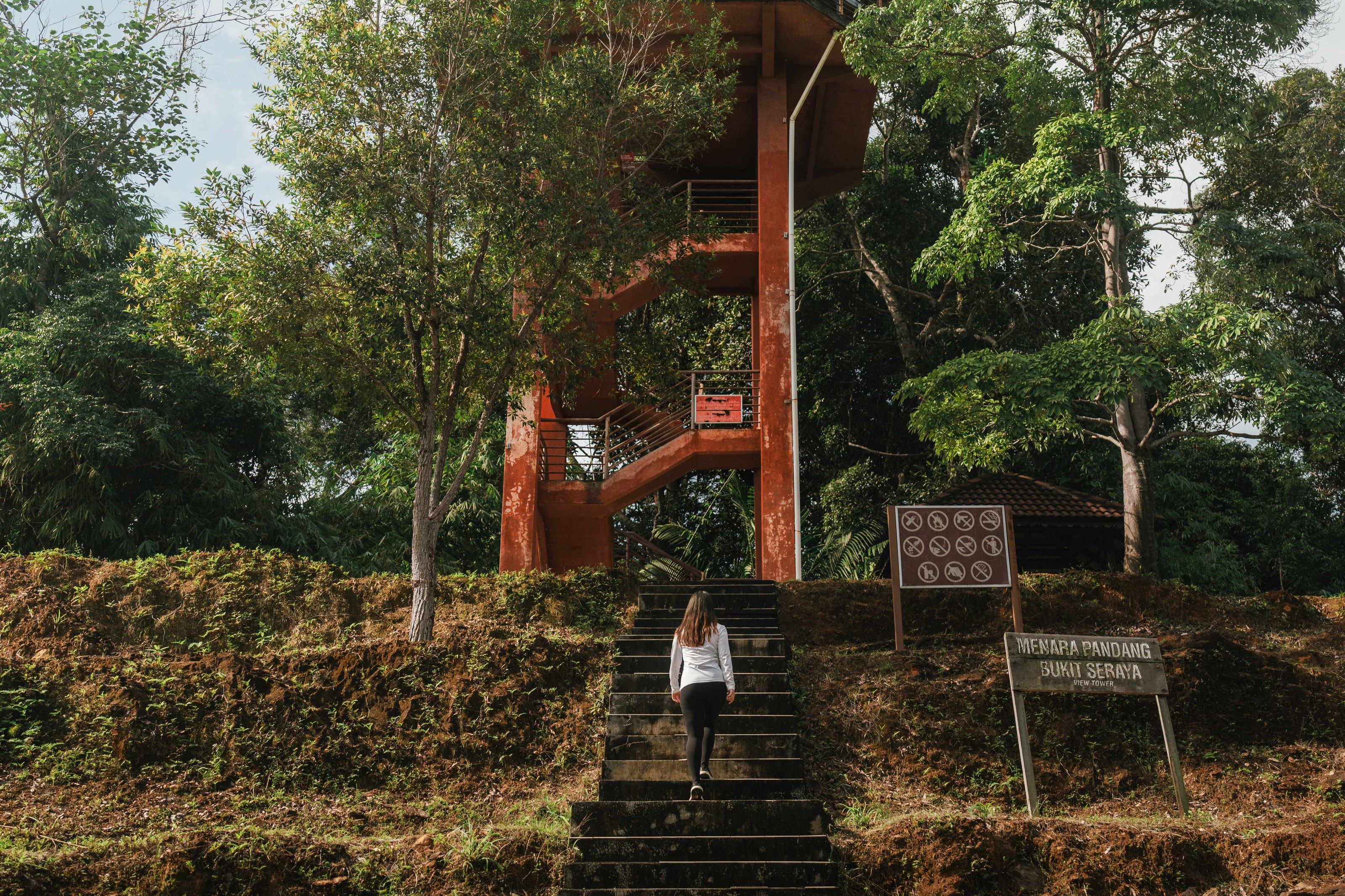 A guest climbing steps towards a red observation tower among the trees of Taman Negara.