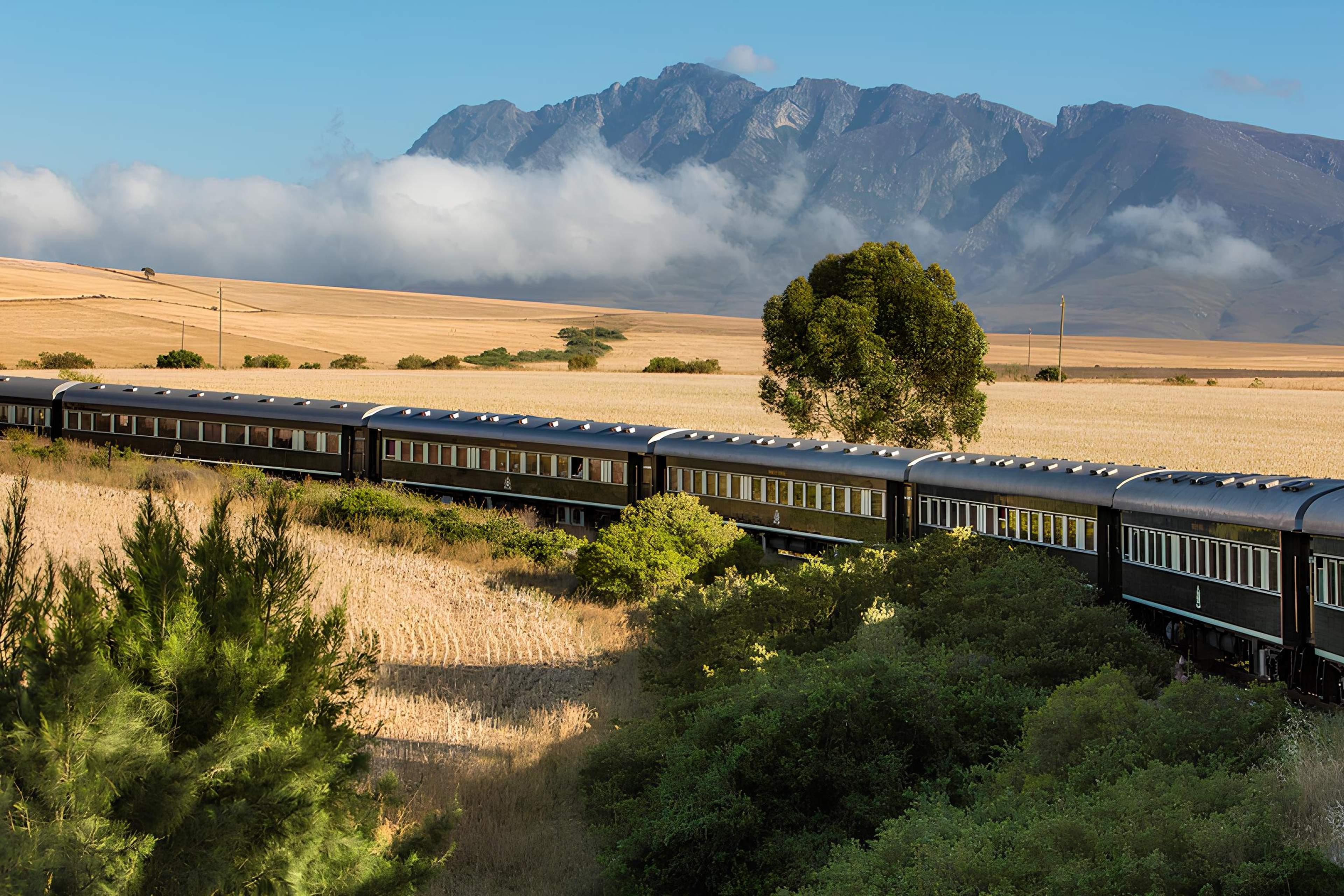 Rovos Rail South Africa Safari Experience