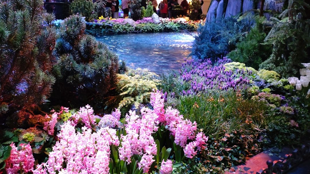 A lush English garden filled with flowers, evoking the early horticultural exhibitions