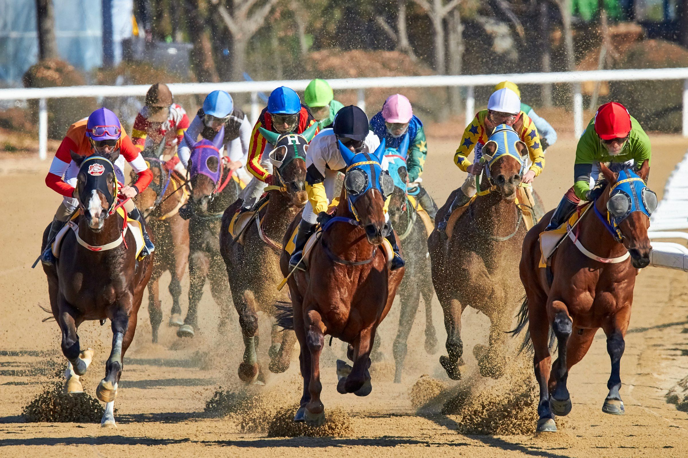 Cheltenham Festival scenes (equestrian riding horse at daytime)
