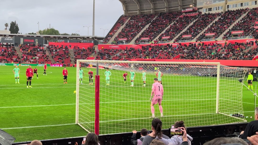 AFC Bournemouth in Premier League action