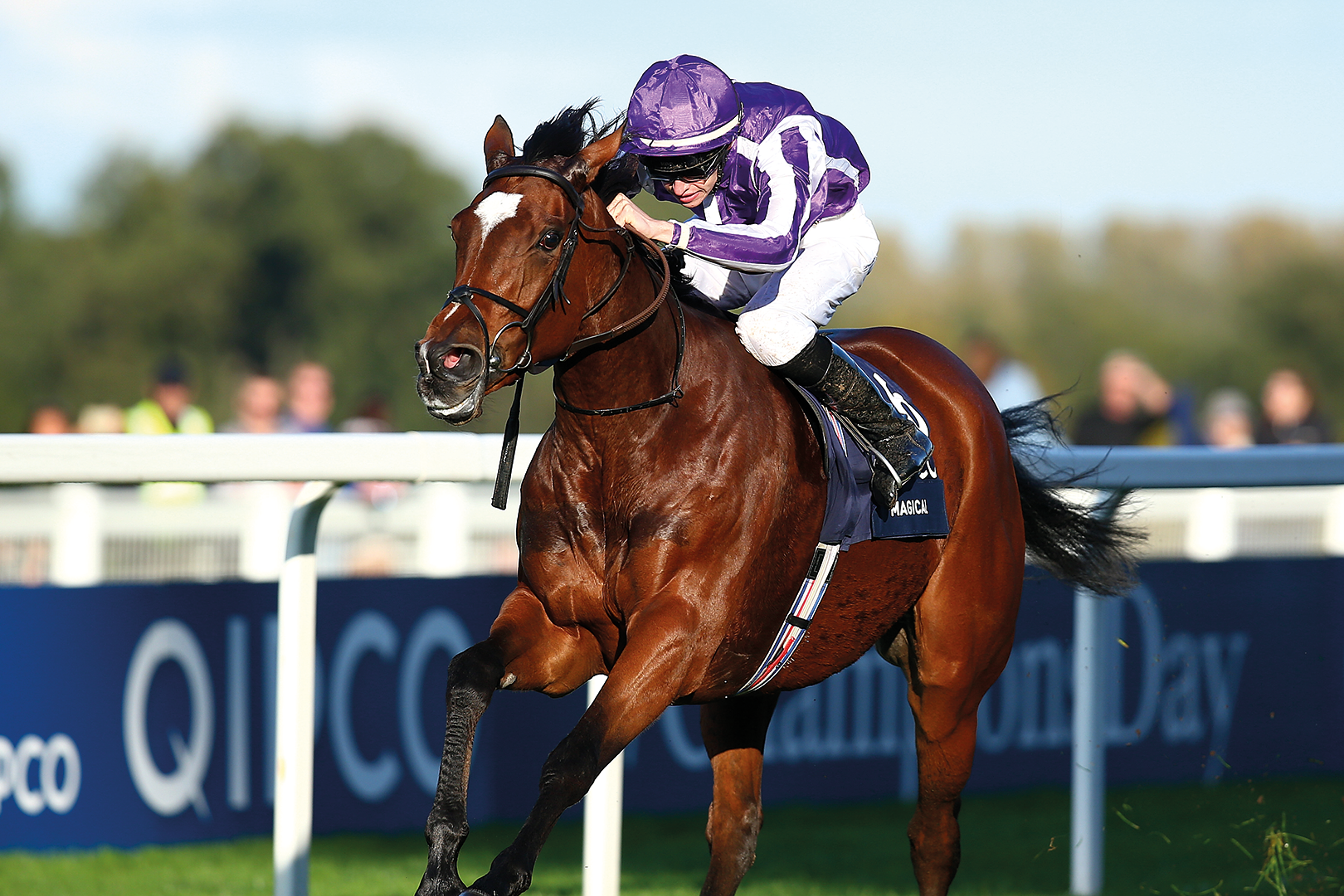 Ascot Champions Day
