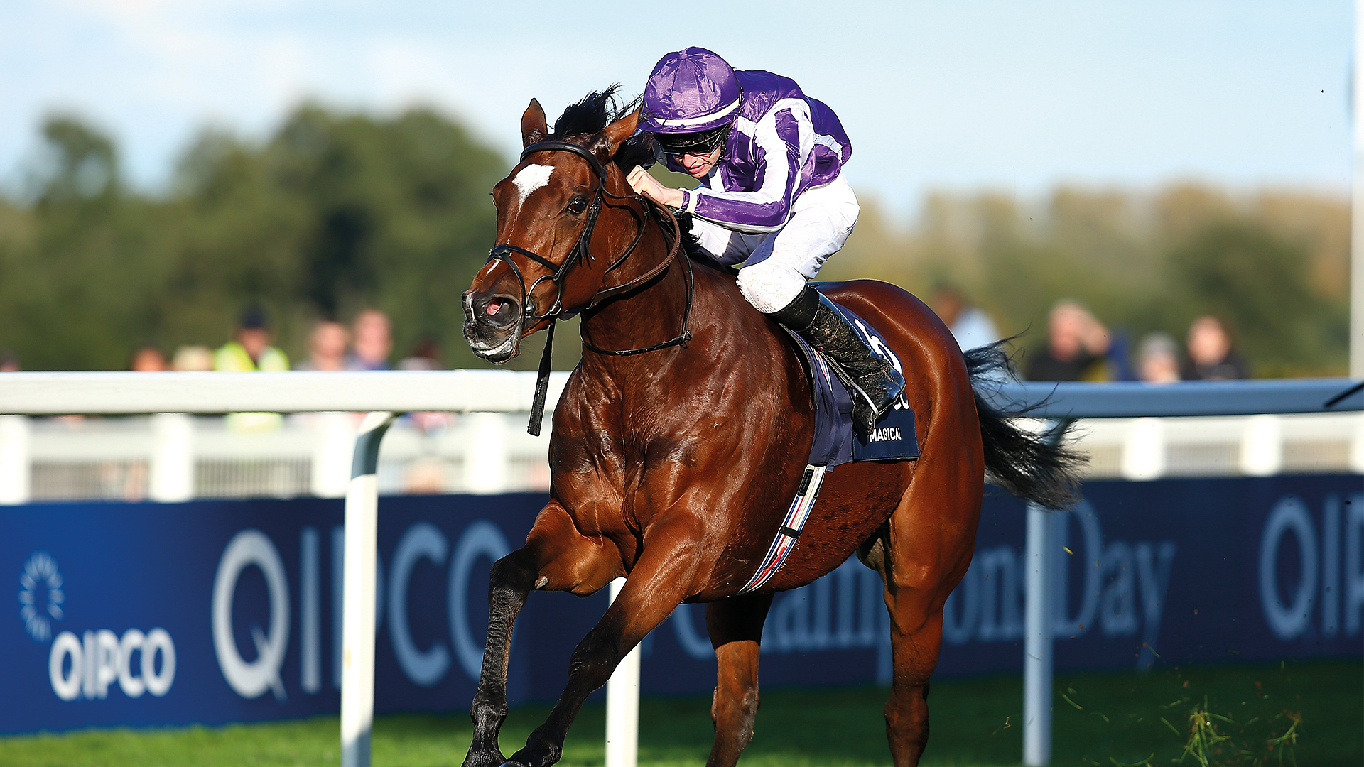 Champions Day at Ascot Racecourse