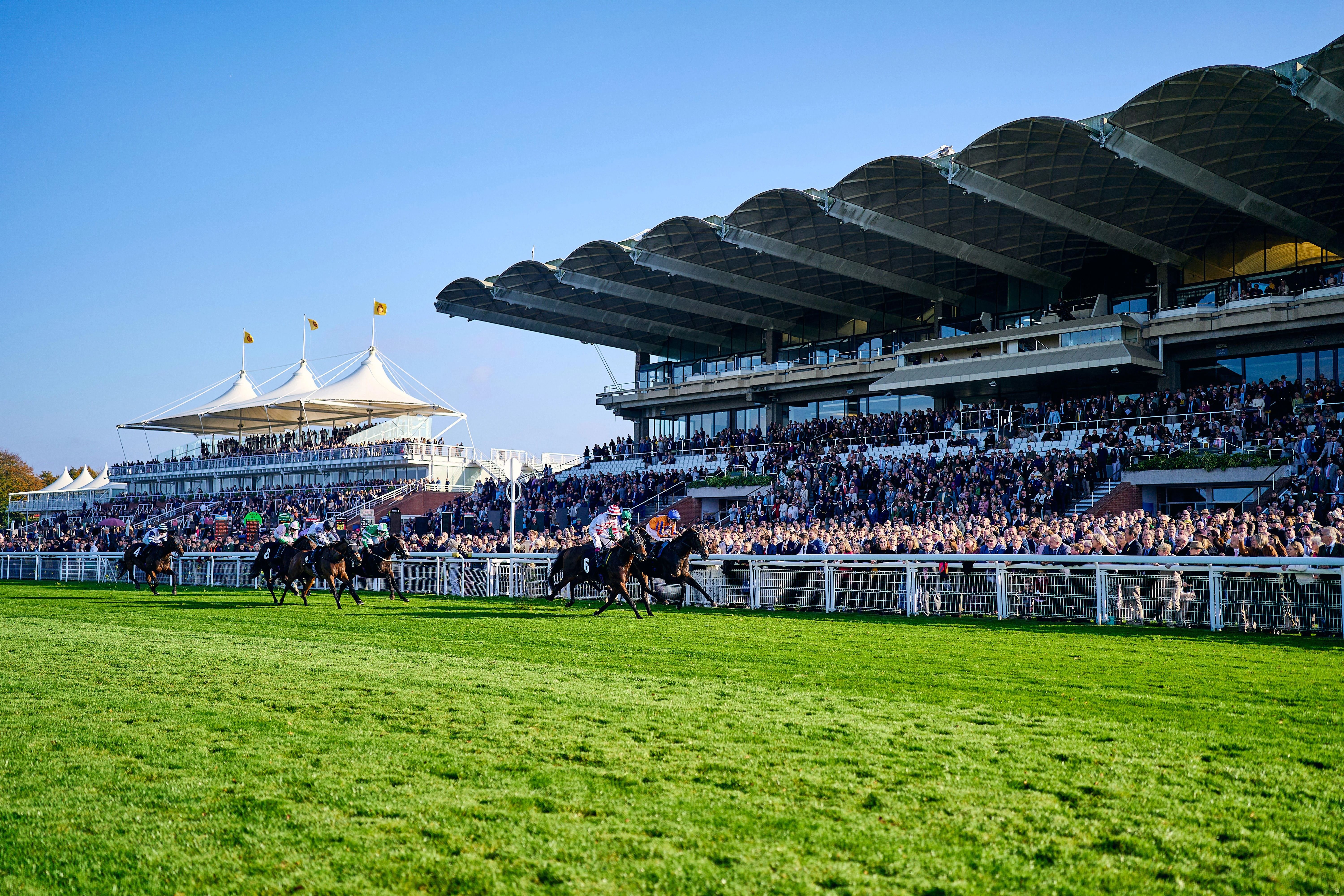 Qatar Goodwood Festival