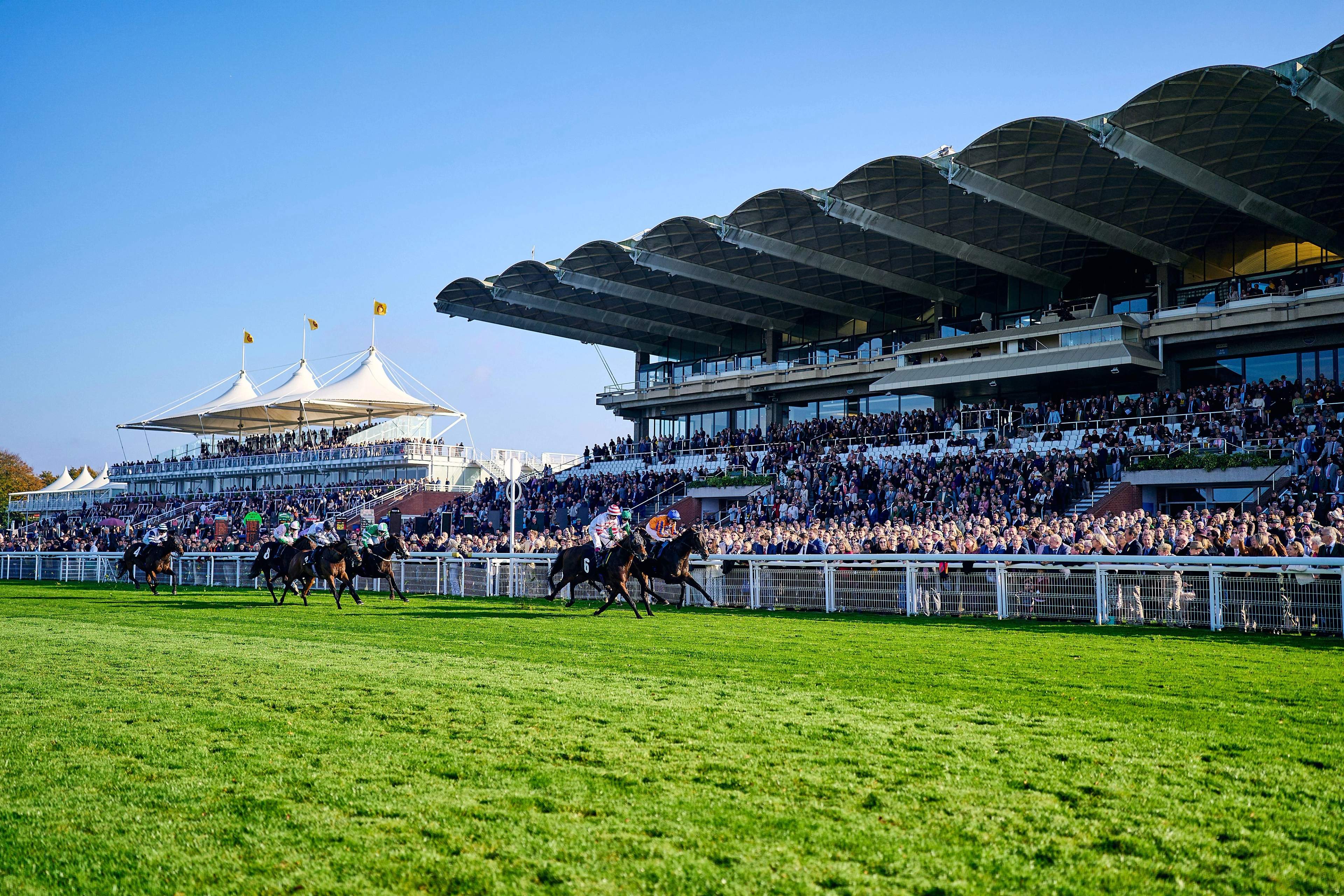 Qatar Goodwood Festival