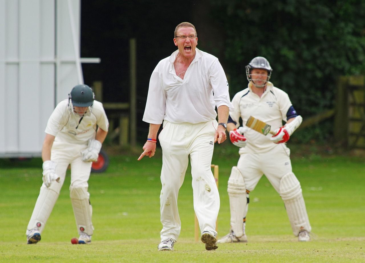 Cricket bowler appealing for a wicket during a match