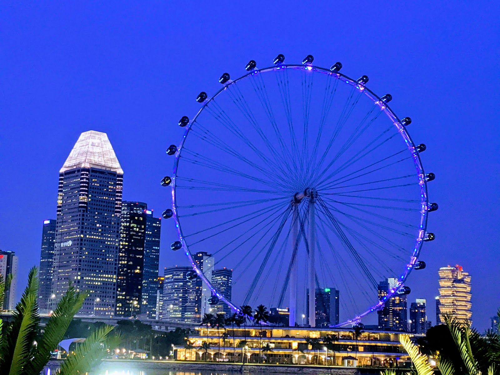 Marina Bay floodlit for the night race