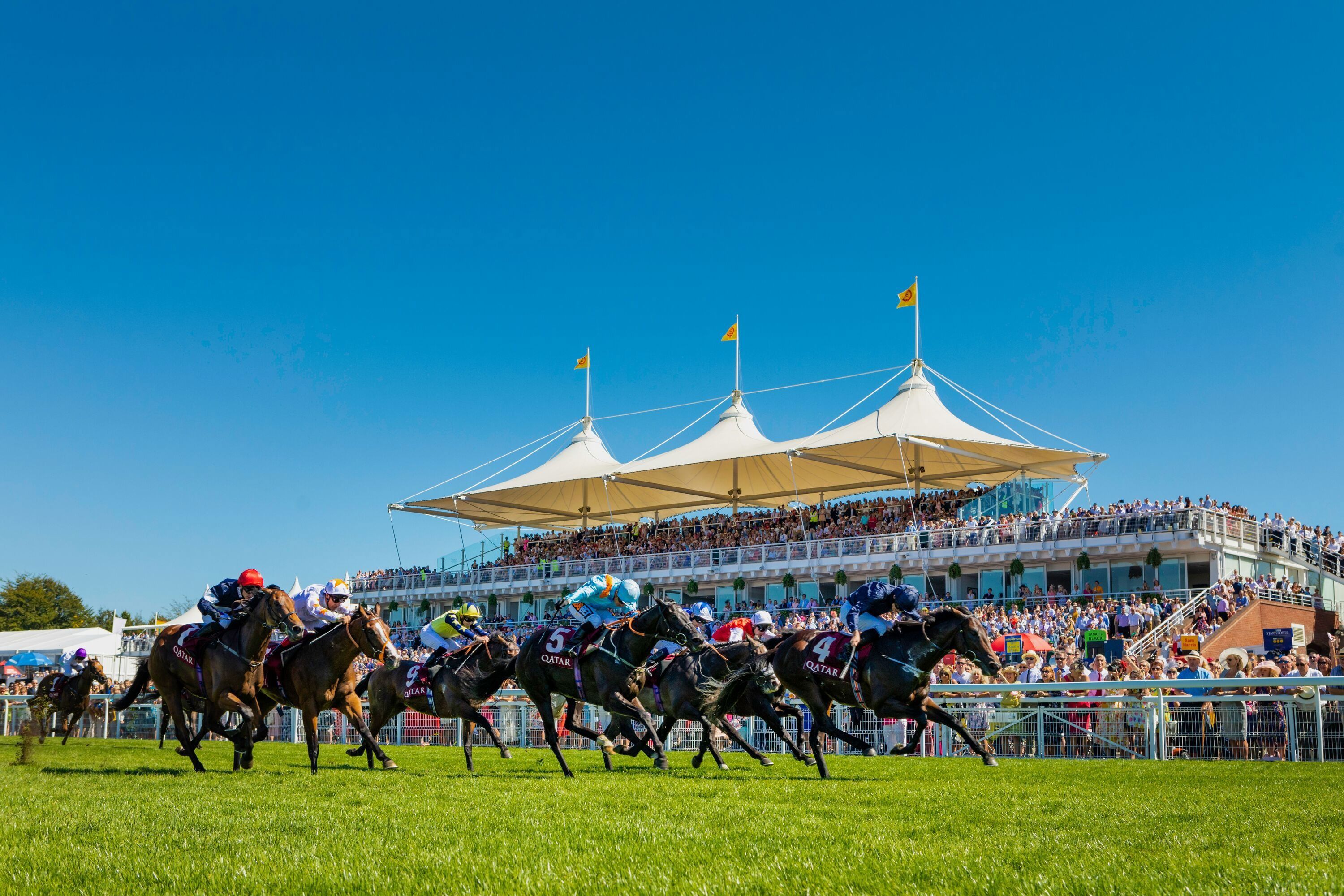 Jockey riding a racehorse at speed during a flat race