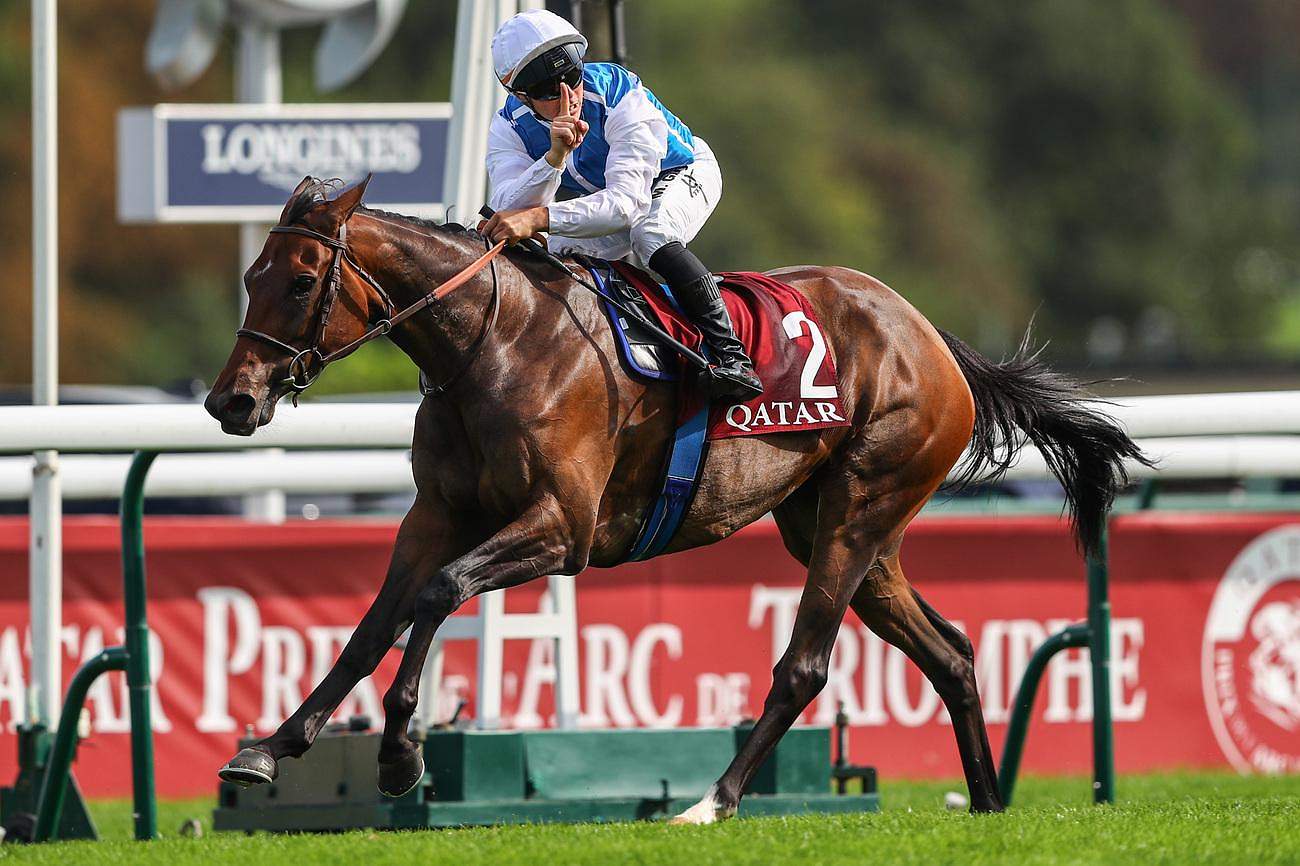 Pack of racehorses galloping during a flat race