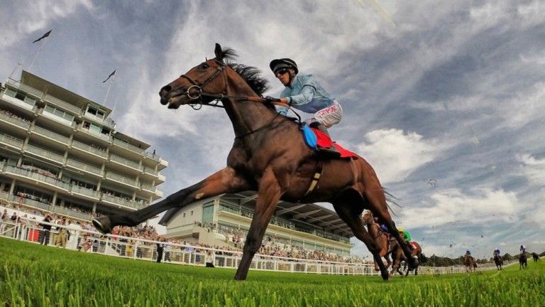 Epsom Downs Racecourse