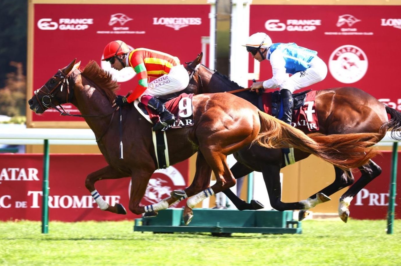 String of racehorses training on turf gallops