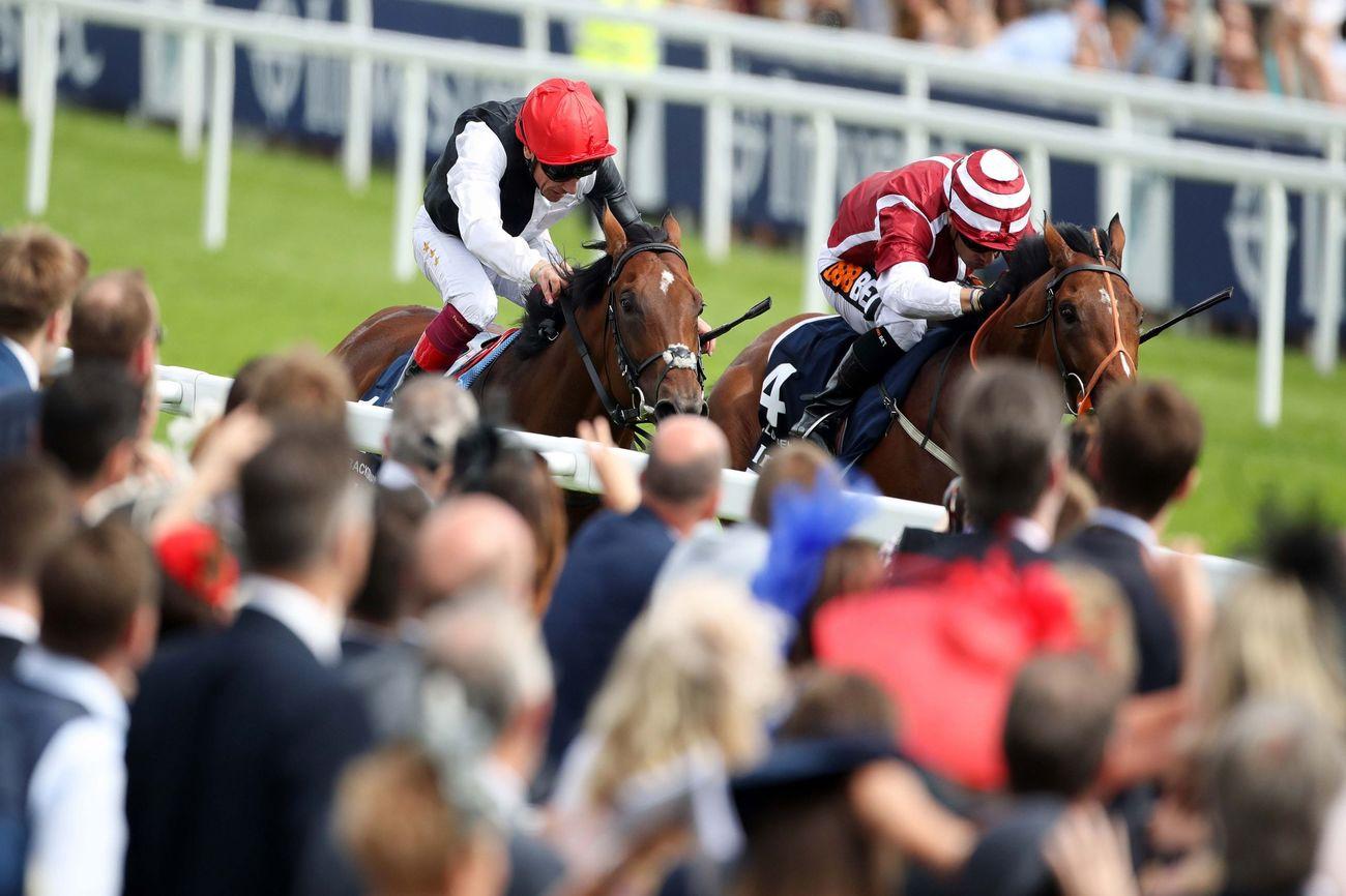 Horse and jockey crossing the finish line at a racecourse