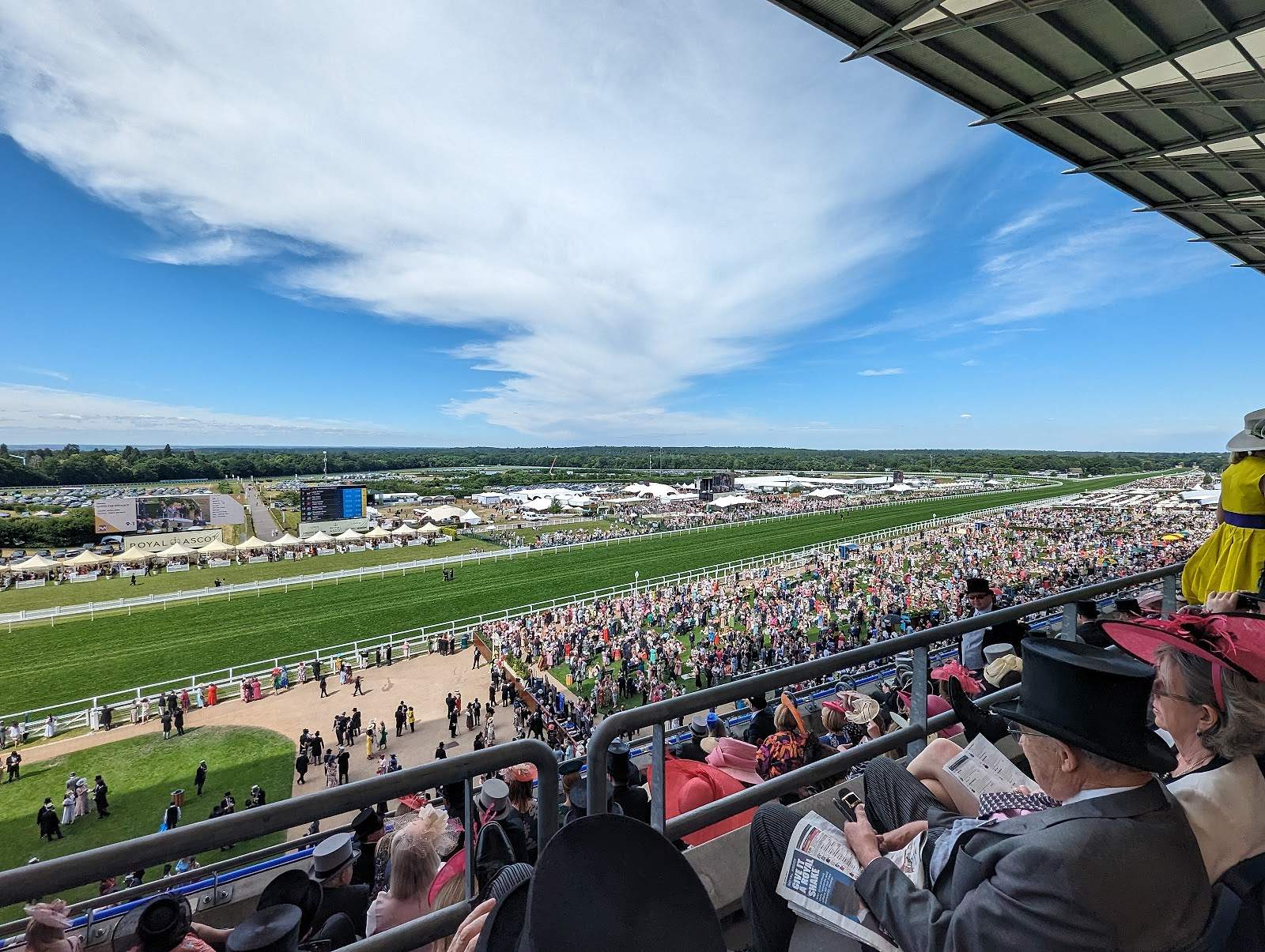 Royal Enclosure guests in formal hats overlooking the racecourse on Ladies' Day