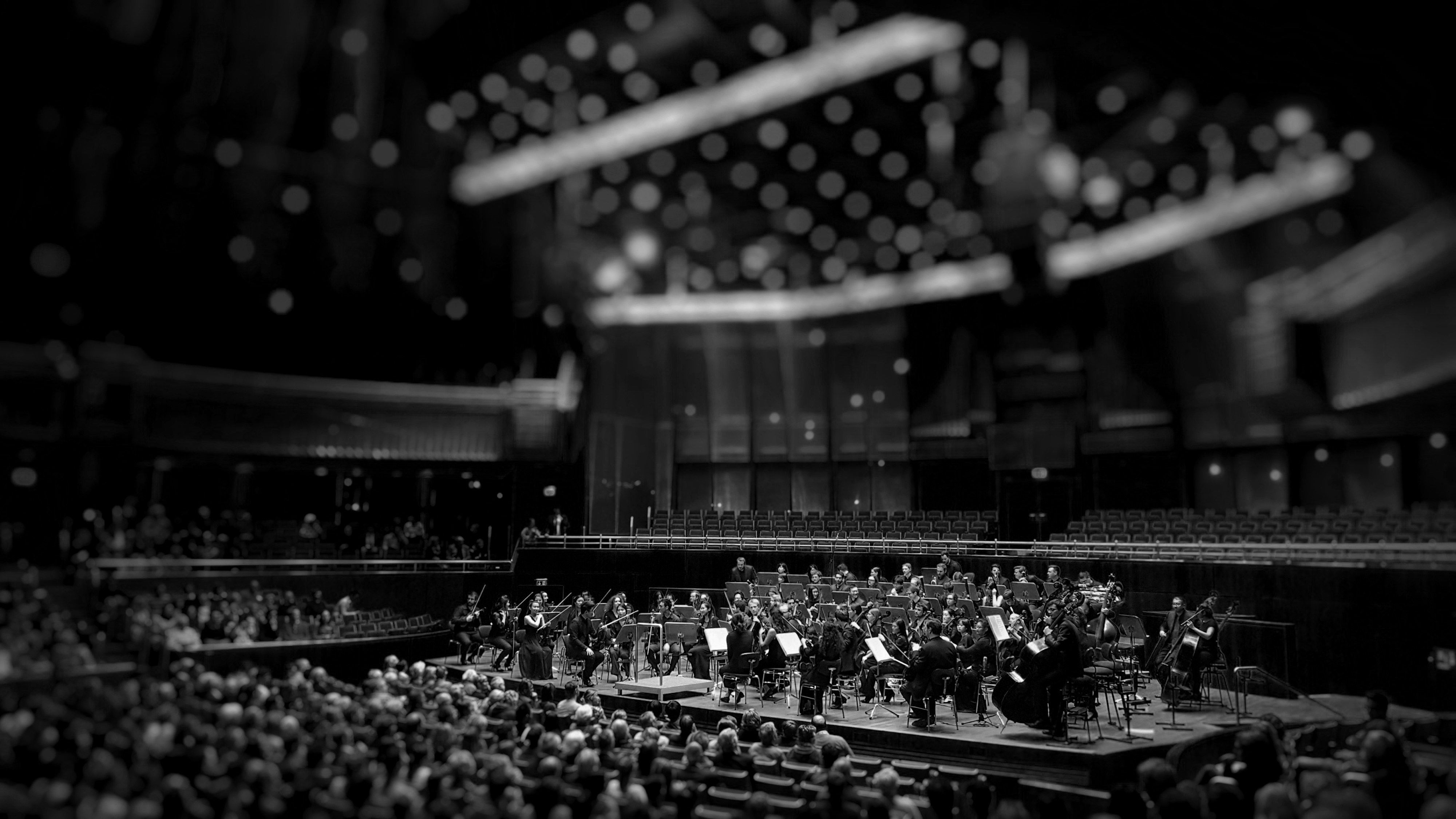 Orchestra performing on a theatre stage in monochrome