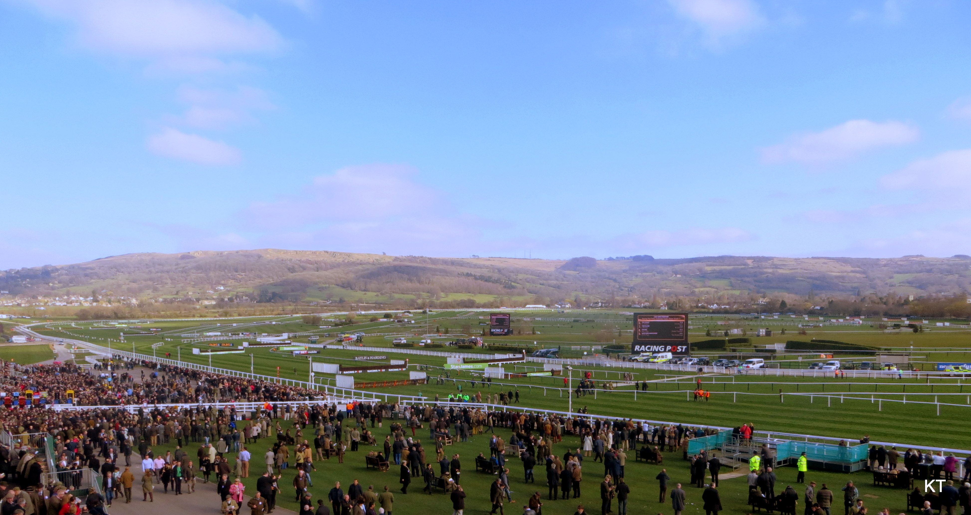 Race-day crowd at Cheltenham Racecourse
