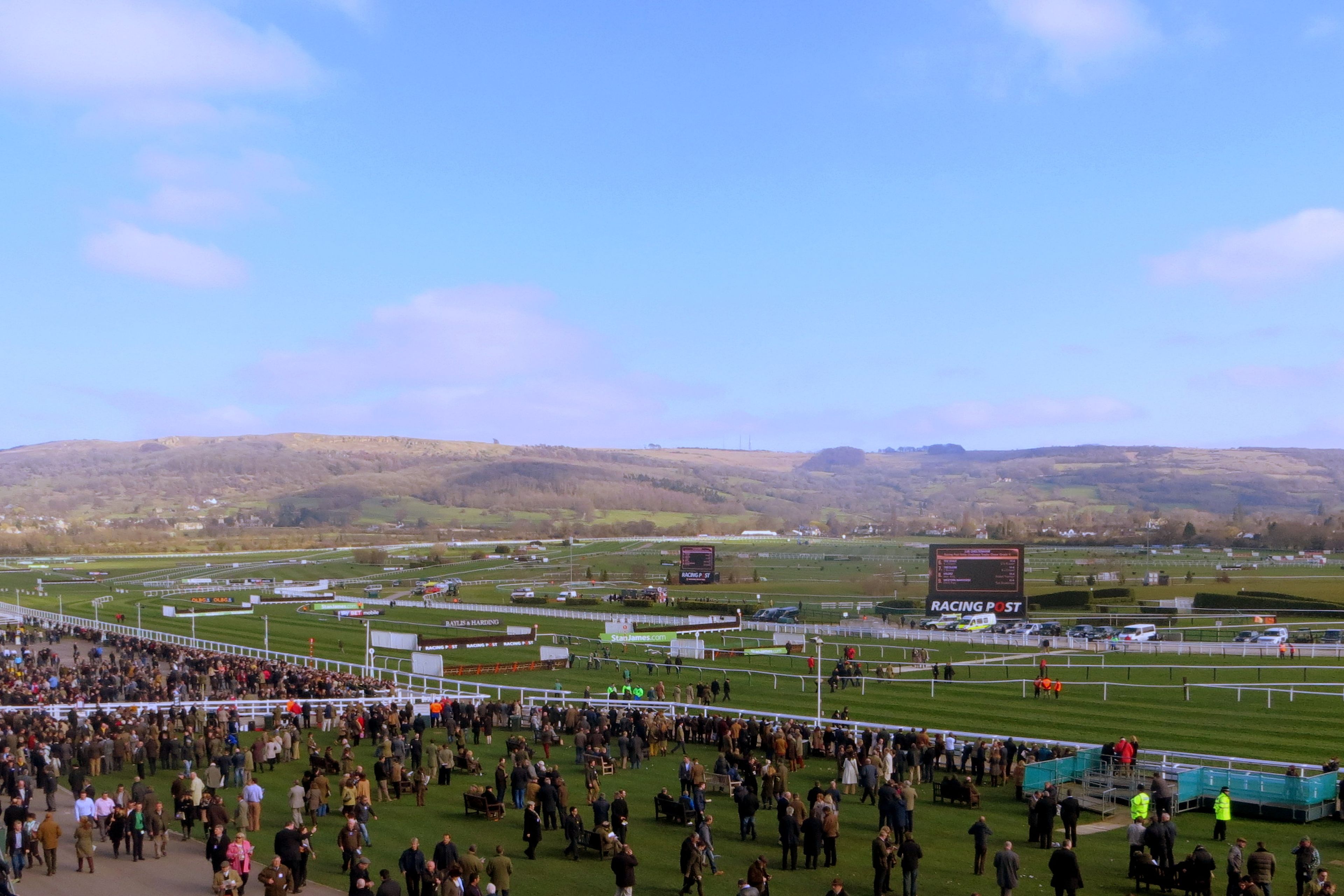 Race-day crowd at Cheltenham Racecourse