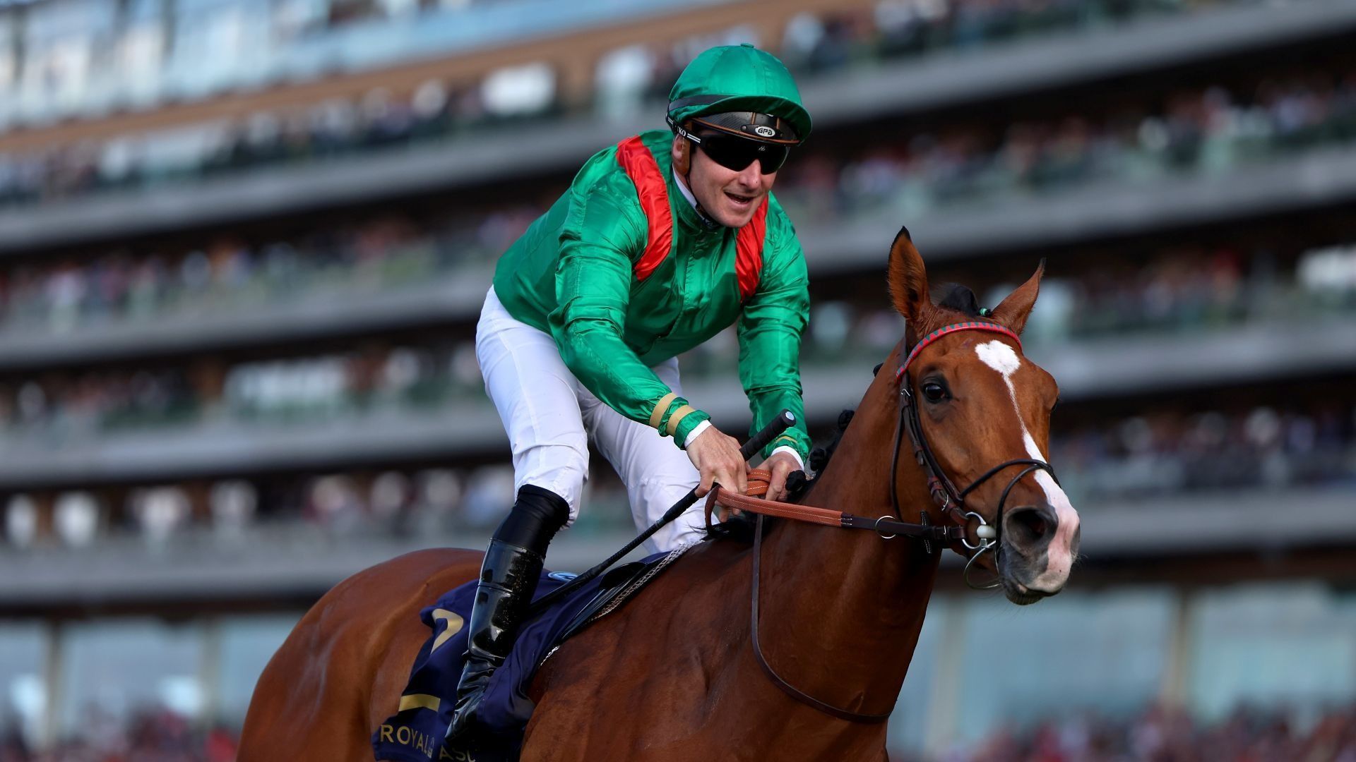 Close-up of a jockey during a flat race