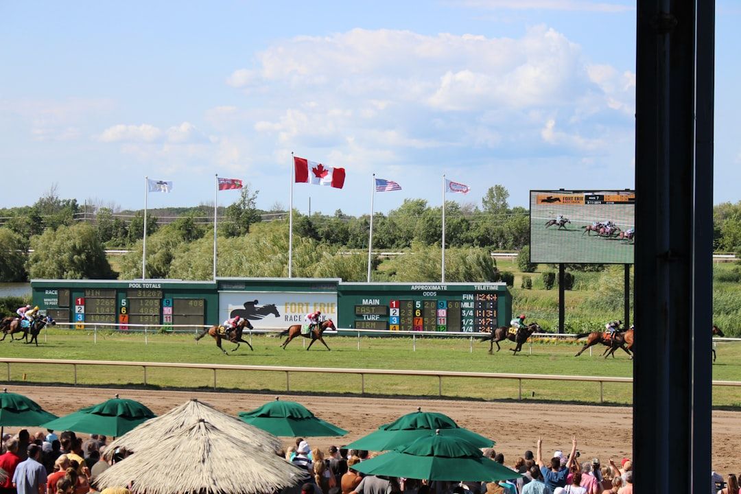 Horses and jockeys racing under a clear blue sky on a summer day