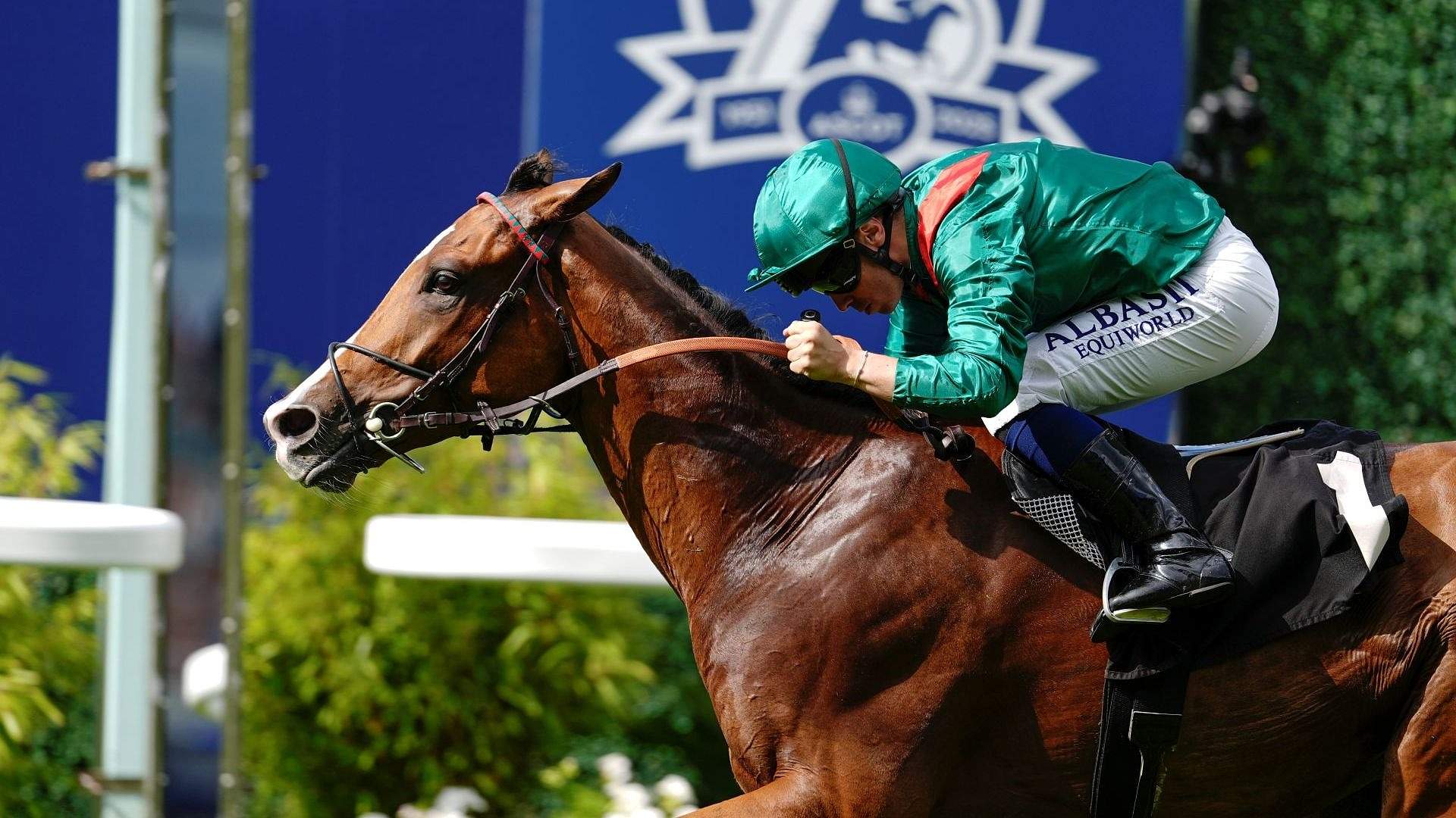 Horse and jockey