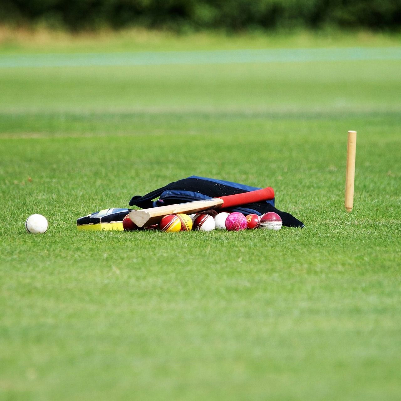 White cricket balls used in ODI cricket