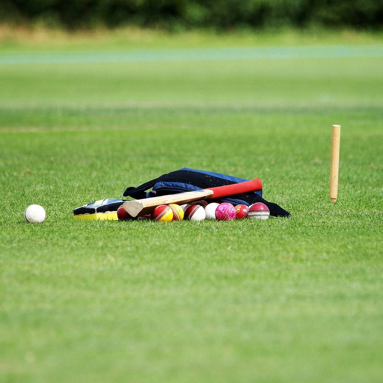 White cricket balls used in ODI cricket