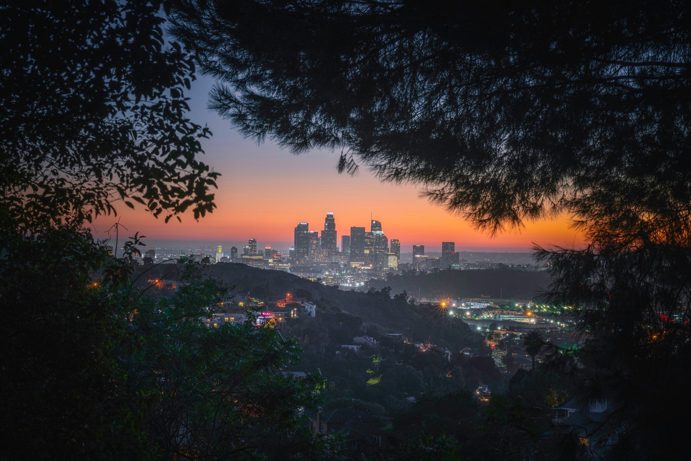 Downtown Los Angeles at sunset, framed by trees in the hills