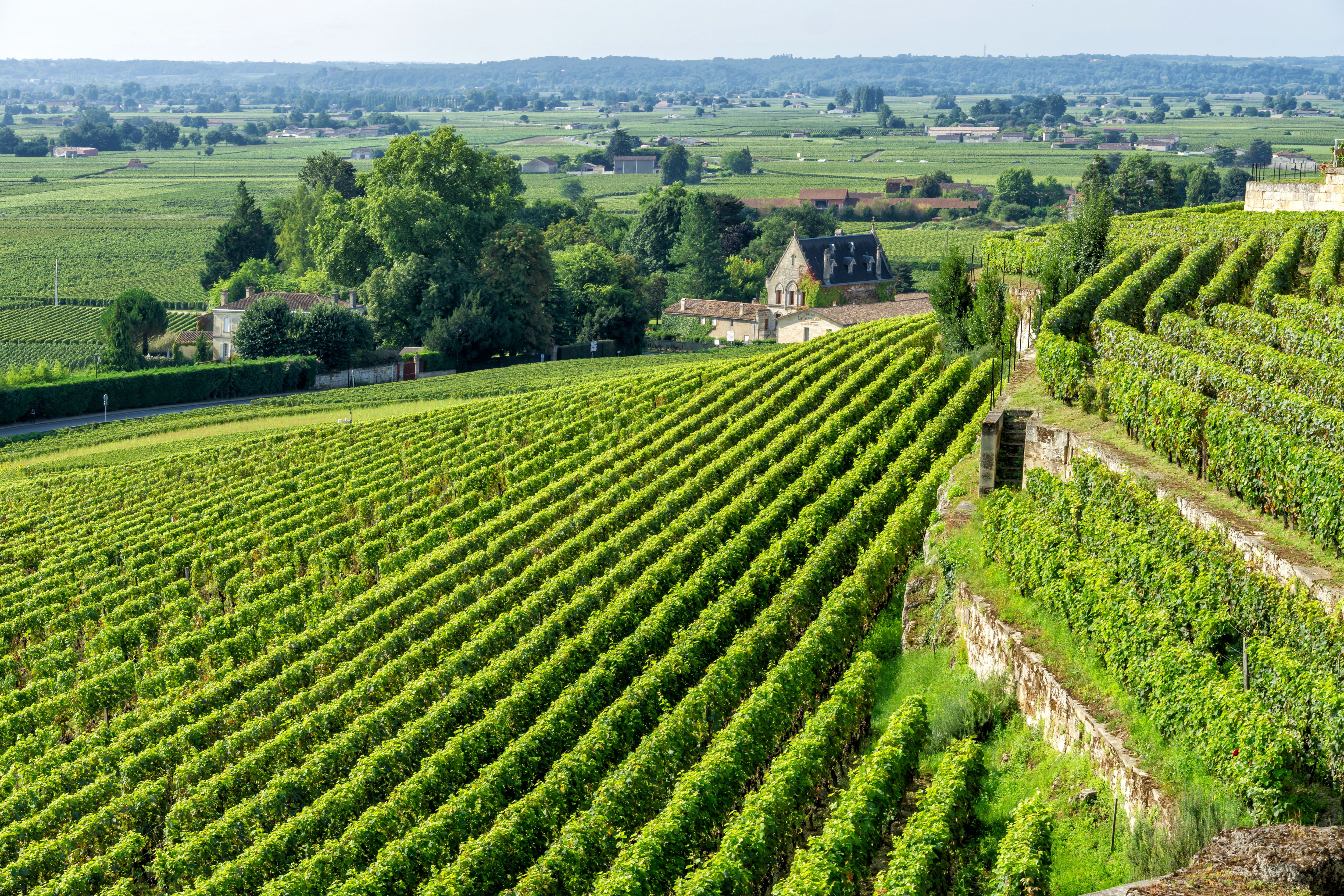 Three-Château Saint-Émilion Wine Tour