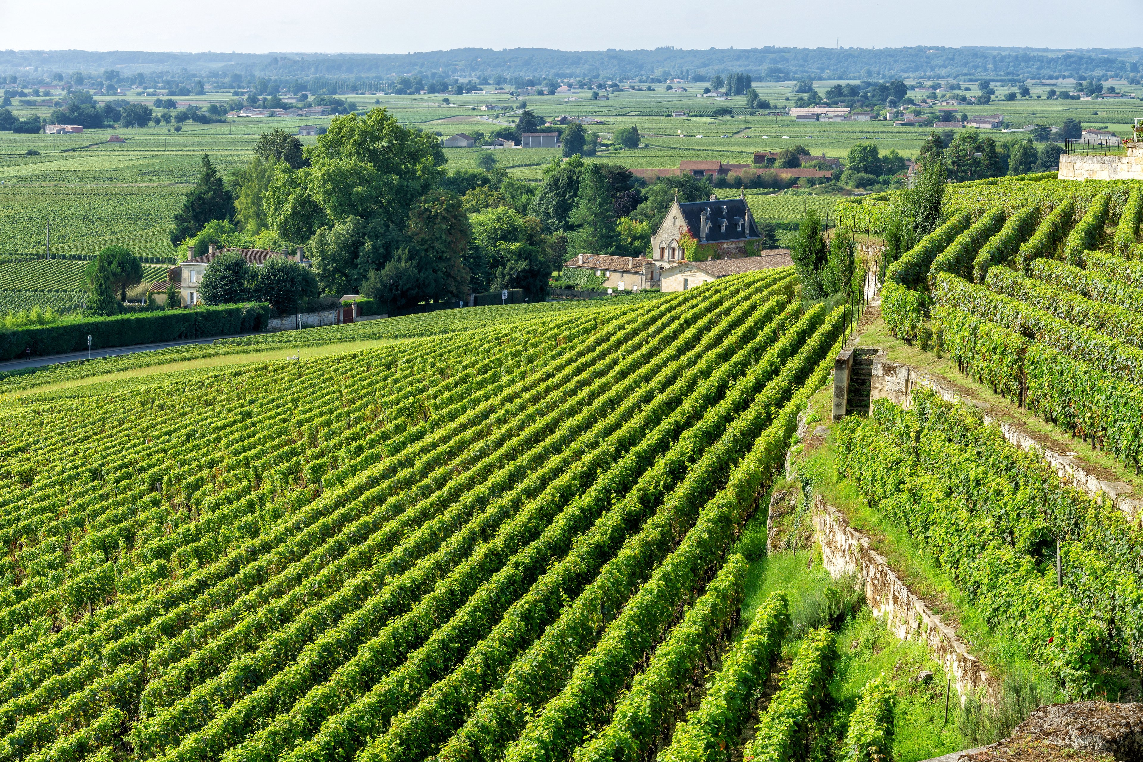 Three-Château Saint-Émilion Wine Tour