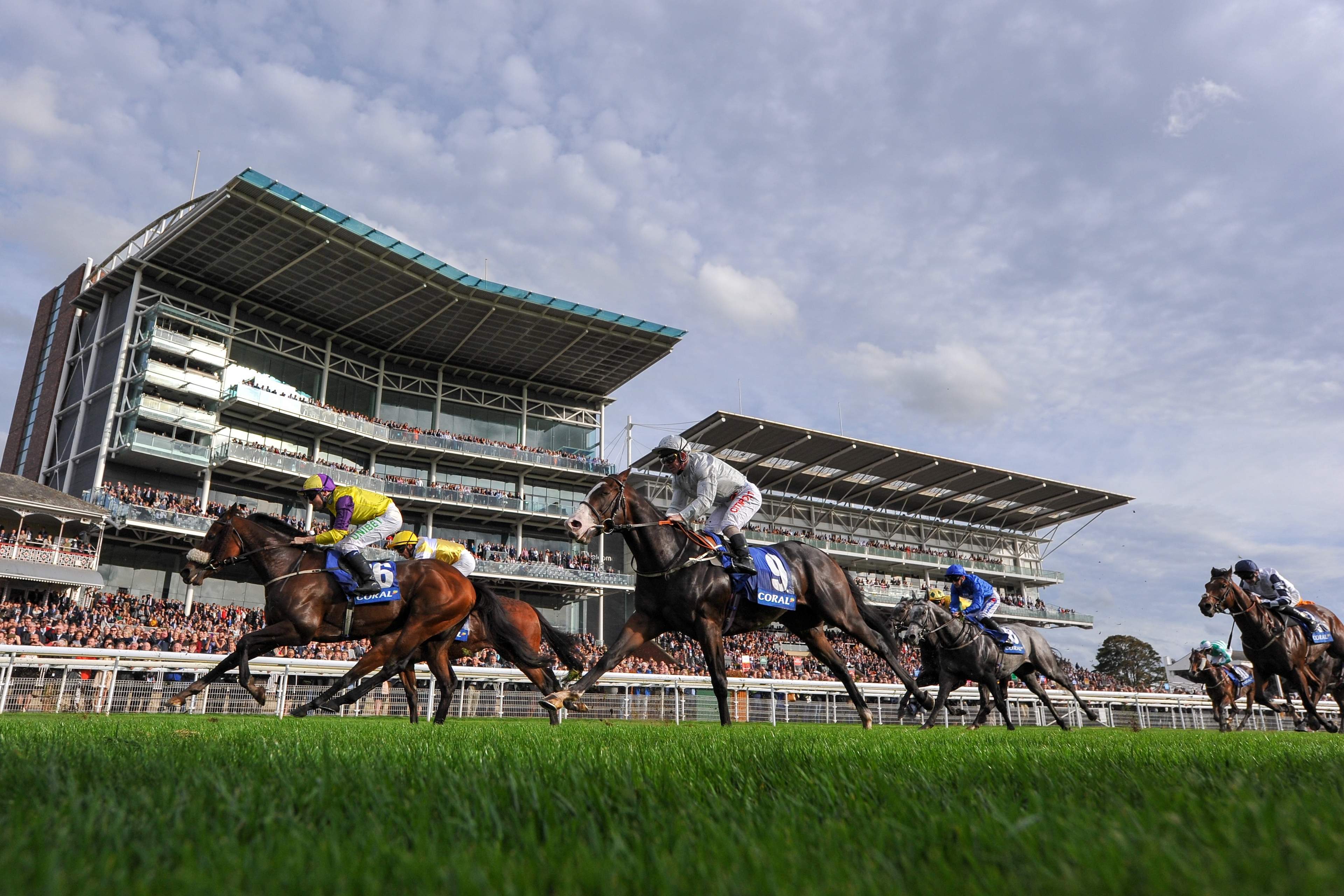 Racehorses and jockeys racing past the packed grandstands at York Racecourse, seen low from the turf