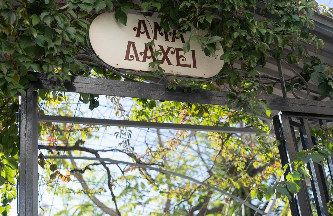 Ama Lachei