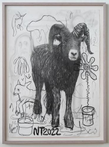 Ram