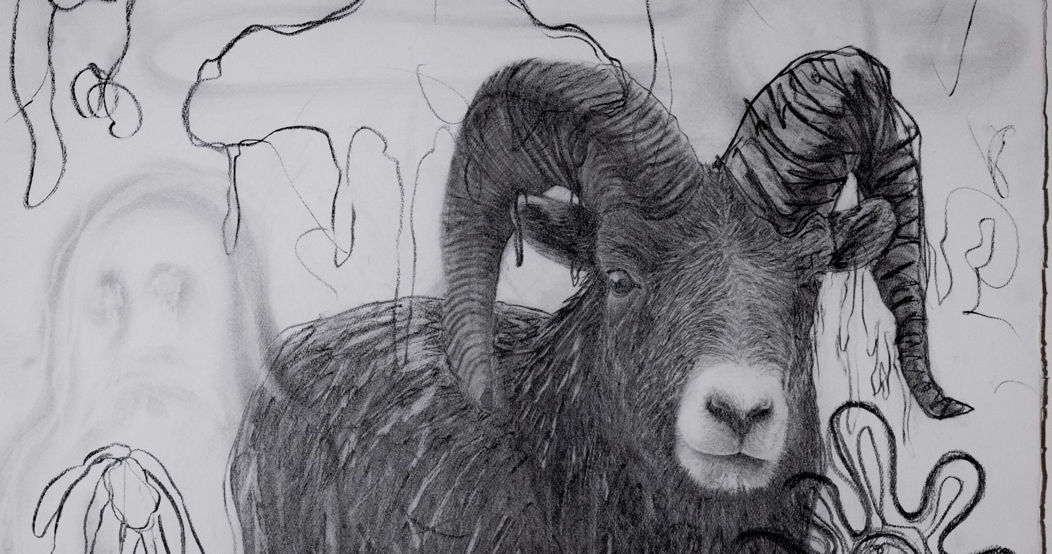 Ram